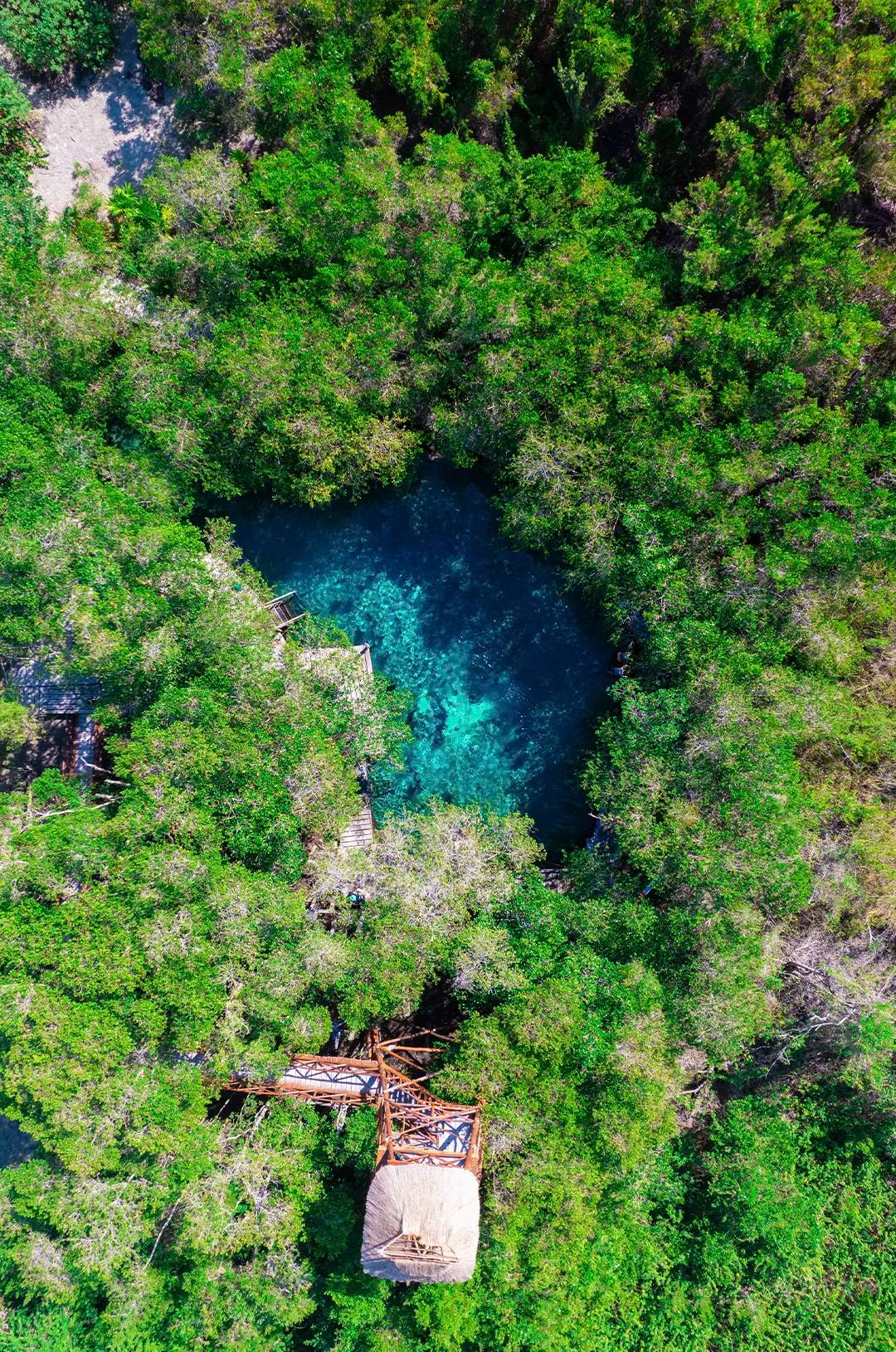 Aerial view of a clear blue cenote surrounded by dense green forest and a small wooden structure