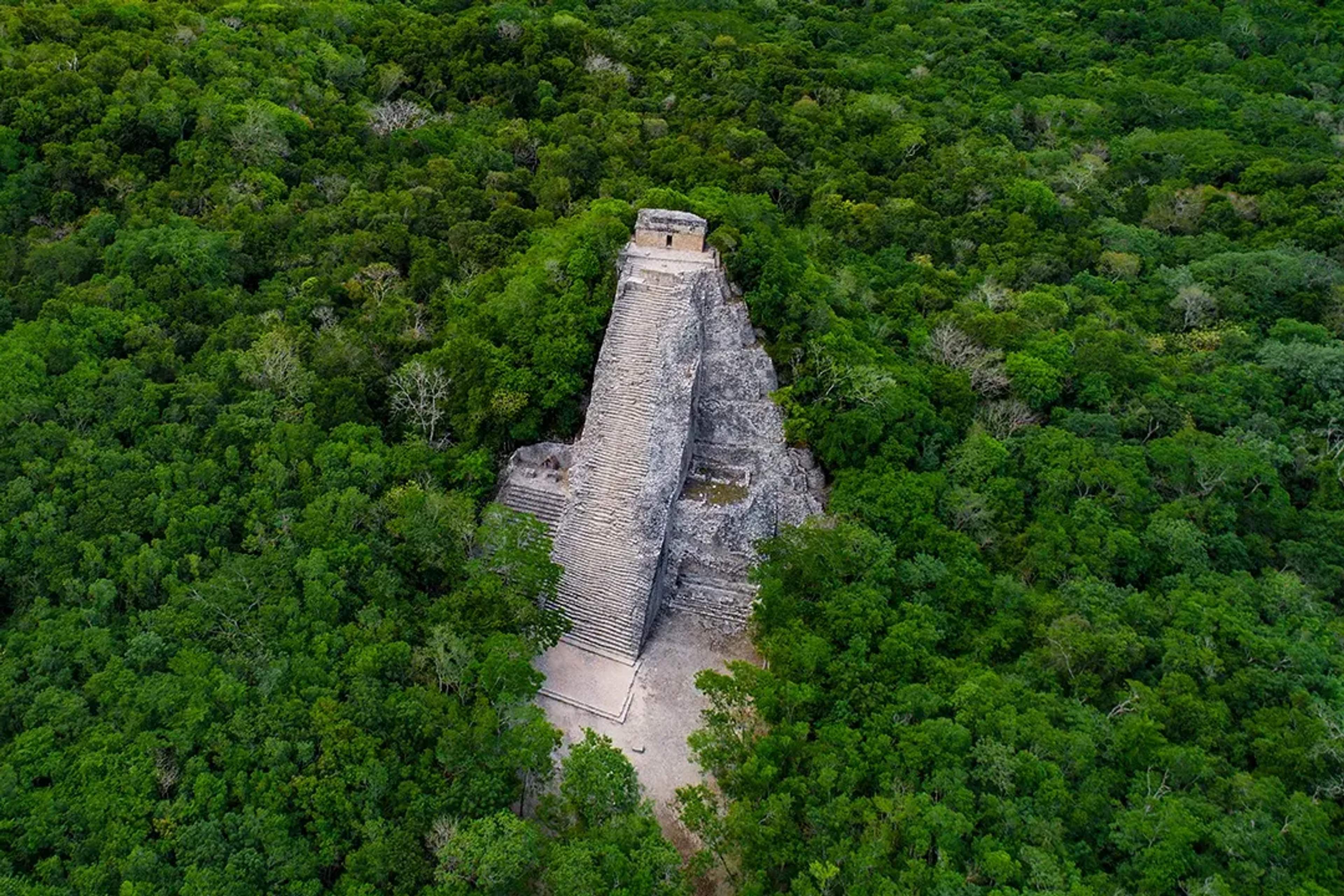 Vista aérea de una pirámide de piedra rodeada de densa jungla verde, posiblemente de un sitio arqueológico antiguo.