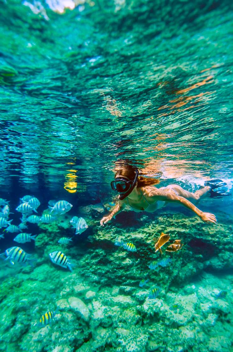Young woman enjoying Akumal snorkeling in a reef surrounded by tropical fish.
