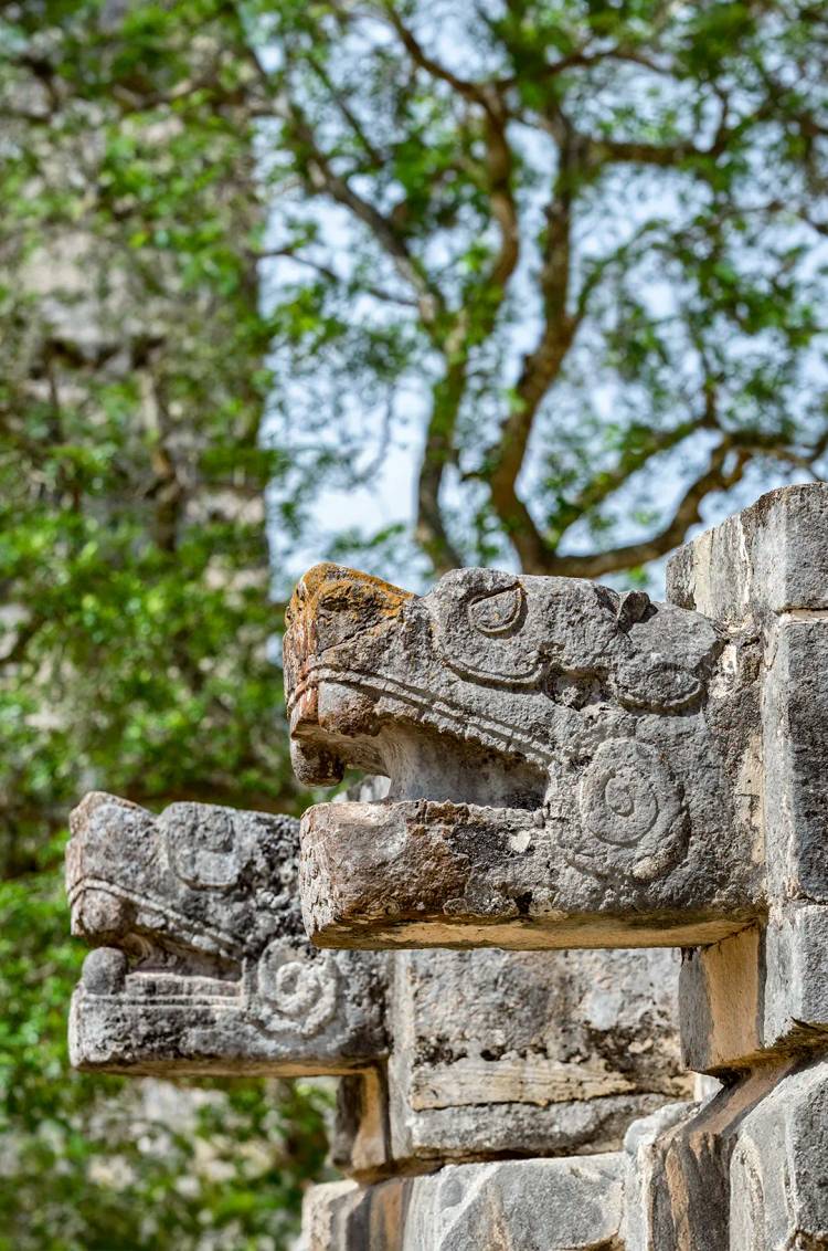 Close-up of ancient Mayan serpent head carvings at Chichen Itza, with greenery in the background.