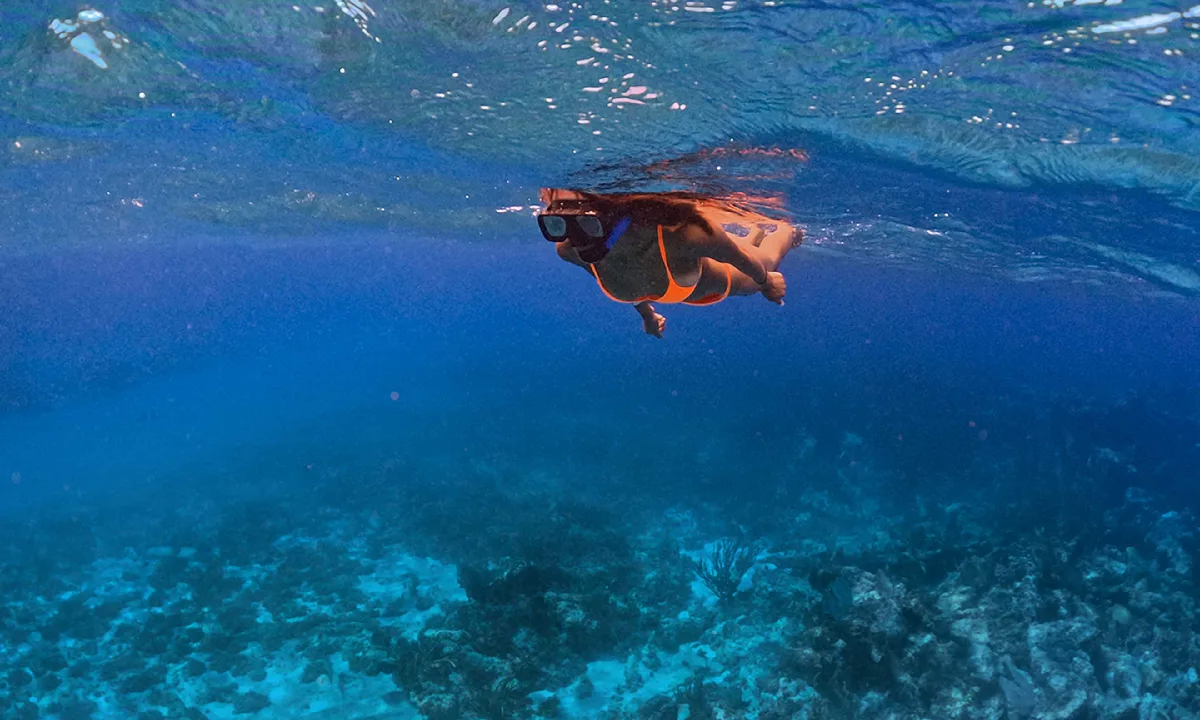 Mujer practicando snorkel en las aguas cristalinas de Cozumel, explorando la riqueza marina del Caribe Mexicano.