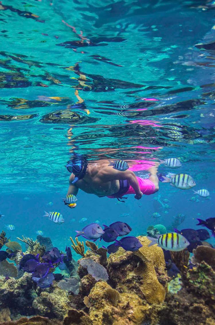 Couple snorkeling among colorful marine life in Cancún.
