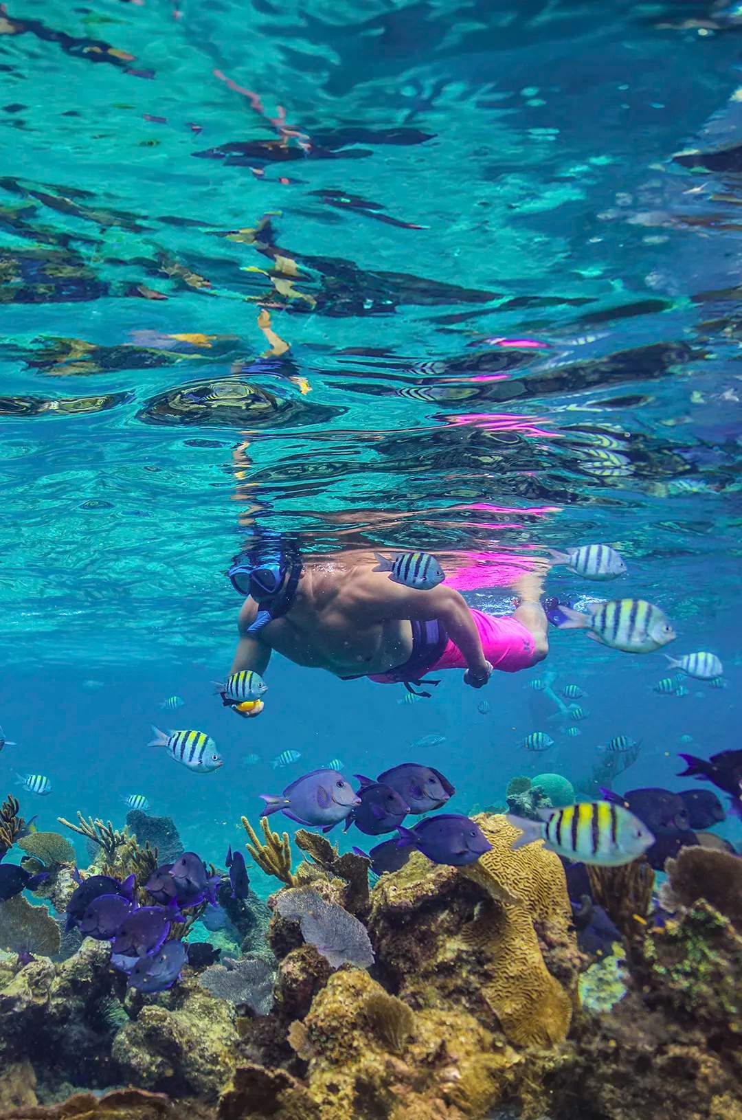 Couple snorkeling among colorful marine life in Cancún.