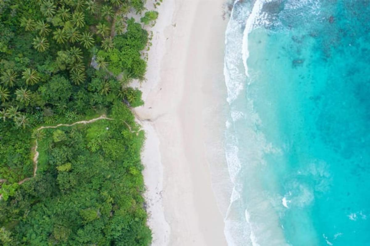 Aerial view of a pristine beach with turquoise waters meeting a lush green forest.