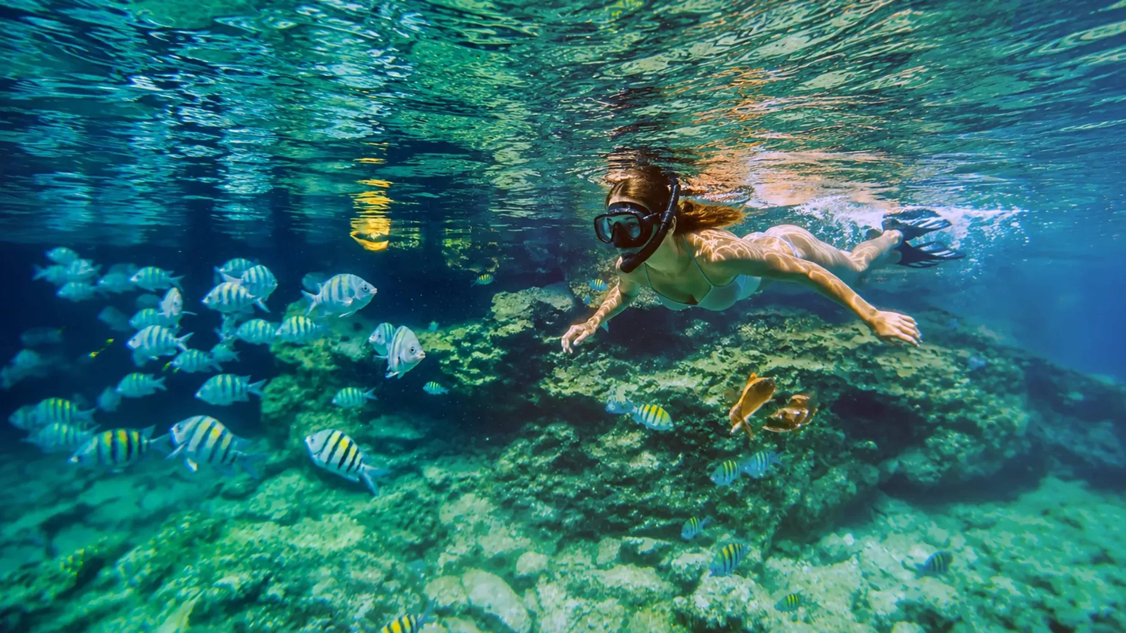 Mujer joven disfrutando Snorkel en Akumal en arrecifes rodeados de peces tropicales.