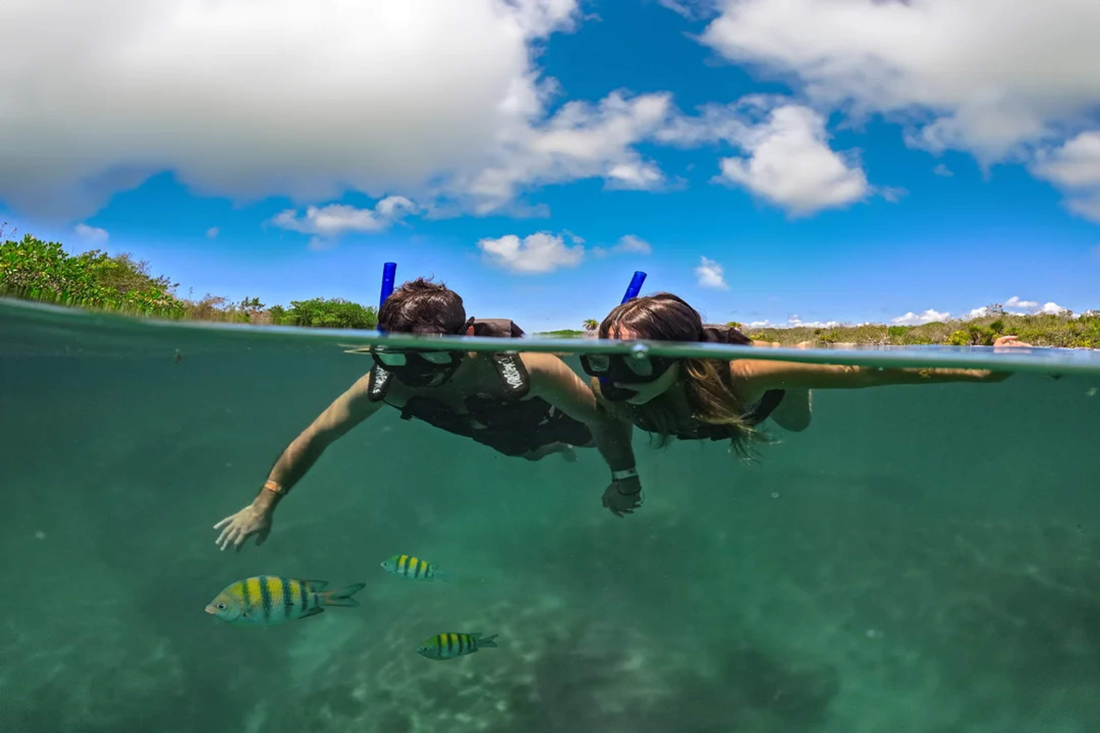 Pareja haciendo snorkel en aguas tranquilas, observando peces bajo un cielo tropical azul.