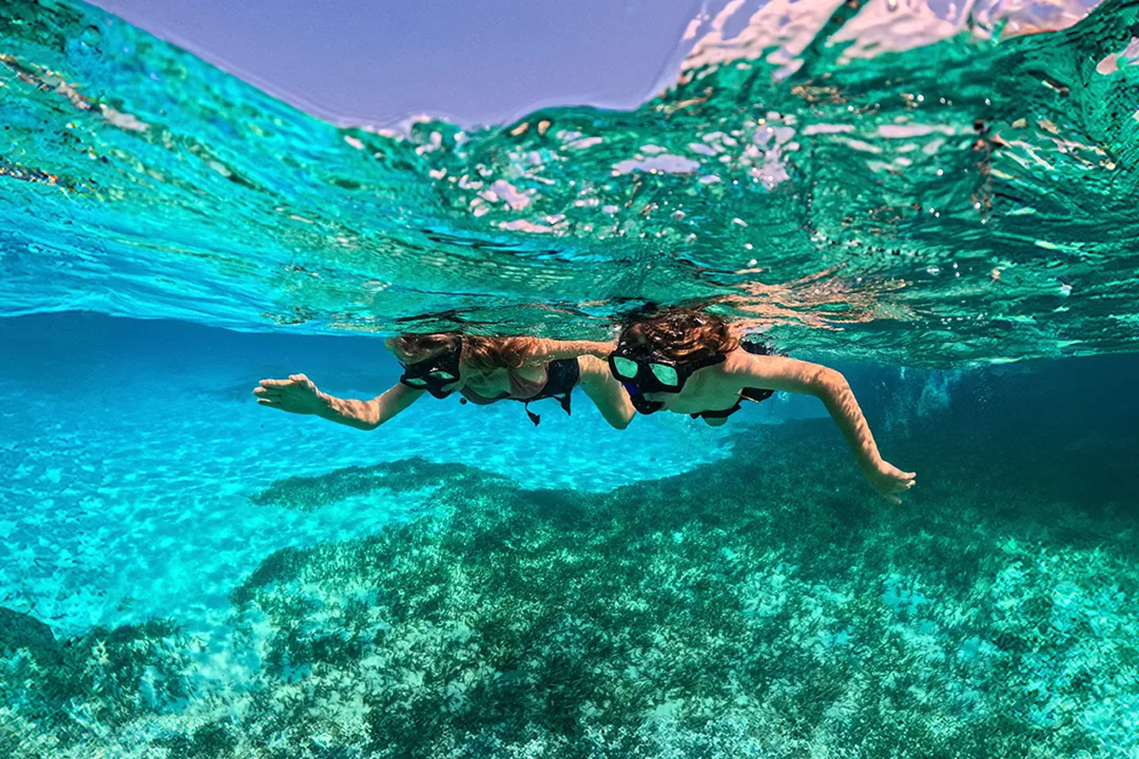 Two snorkelers explore crystal-clear waters above a vibrant coral reef in the Caribbean Sea.