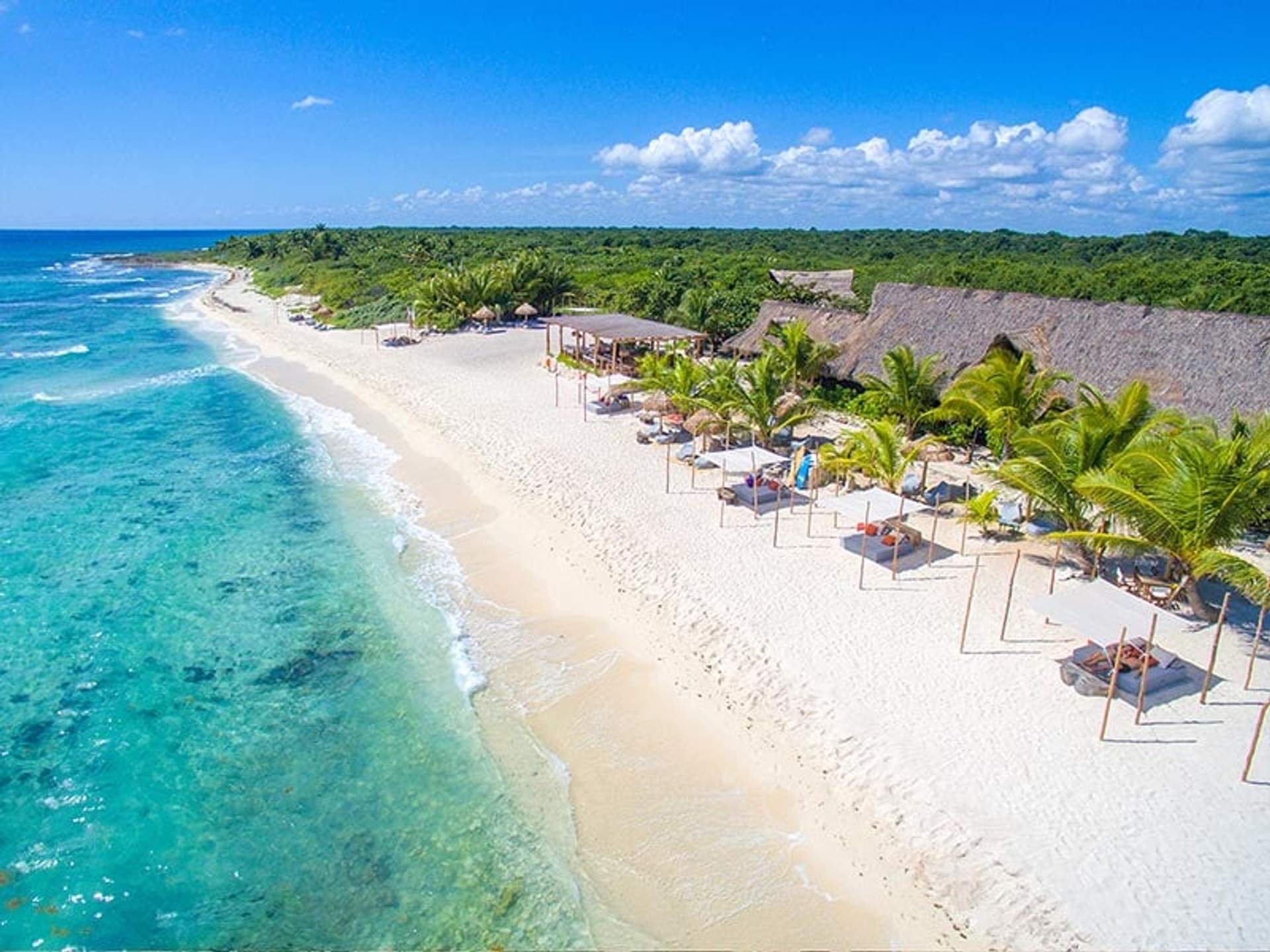 Beautiful white sand beach in Cancun with clear turquoise waters and lush greenery.