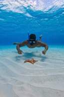 Tour de snorkel en El Cielo, Cozumel: Hombre buceando cerca de una estrella de mar en aguas cristalinas.
