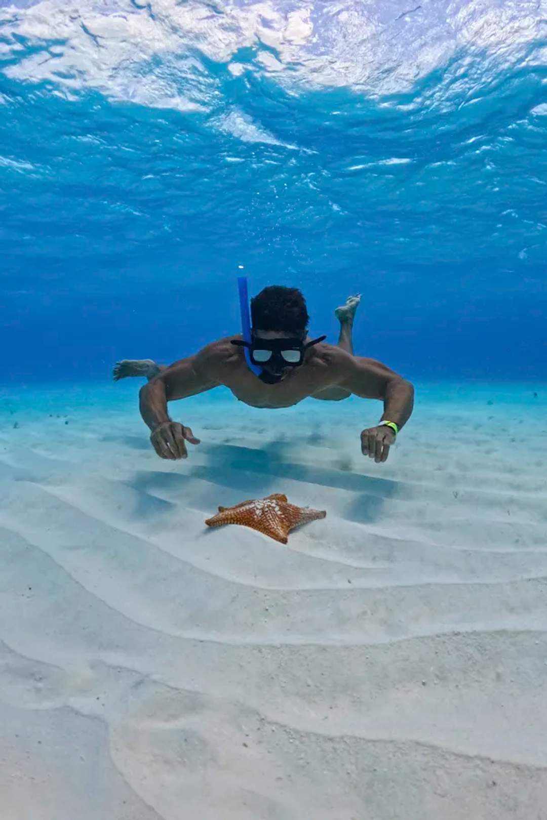 Tour de snorkel en El Cielo, Cozumel: Hombre buceando cerca de una estrella de mar en aguas cristalinas.