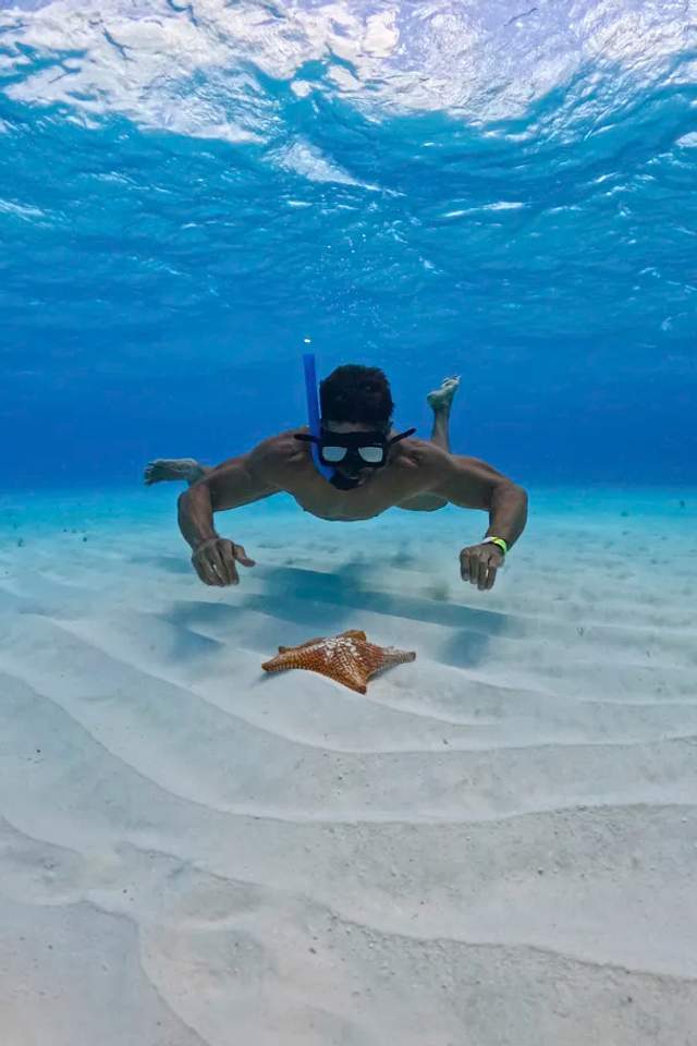 Tour de snorkel en El Cielo, Cozumel: Hombre buceando cerca de una estrella de mar en aguas cristalinas.