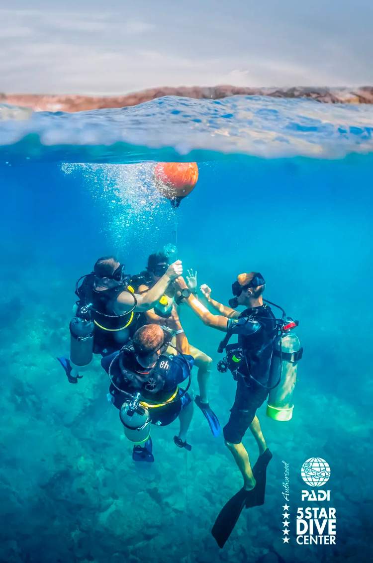 Scuba Diver PADI Certification, the most popular of the Cancun Scuba diving lessons