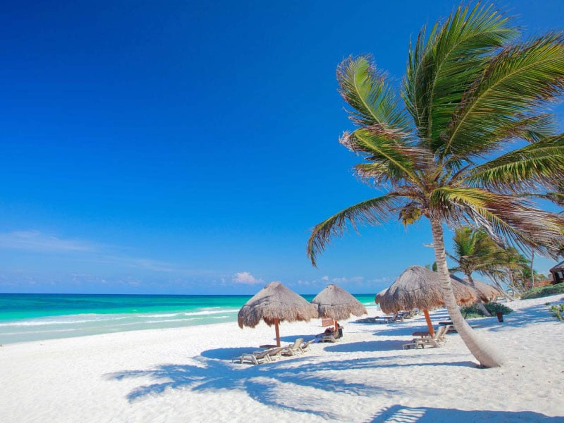 Playa tropical con palmeras, sombrillas de paja y tumbonas en arena blanca, con agua turquesa y un cielo azul claro.