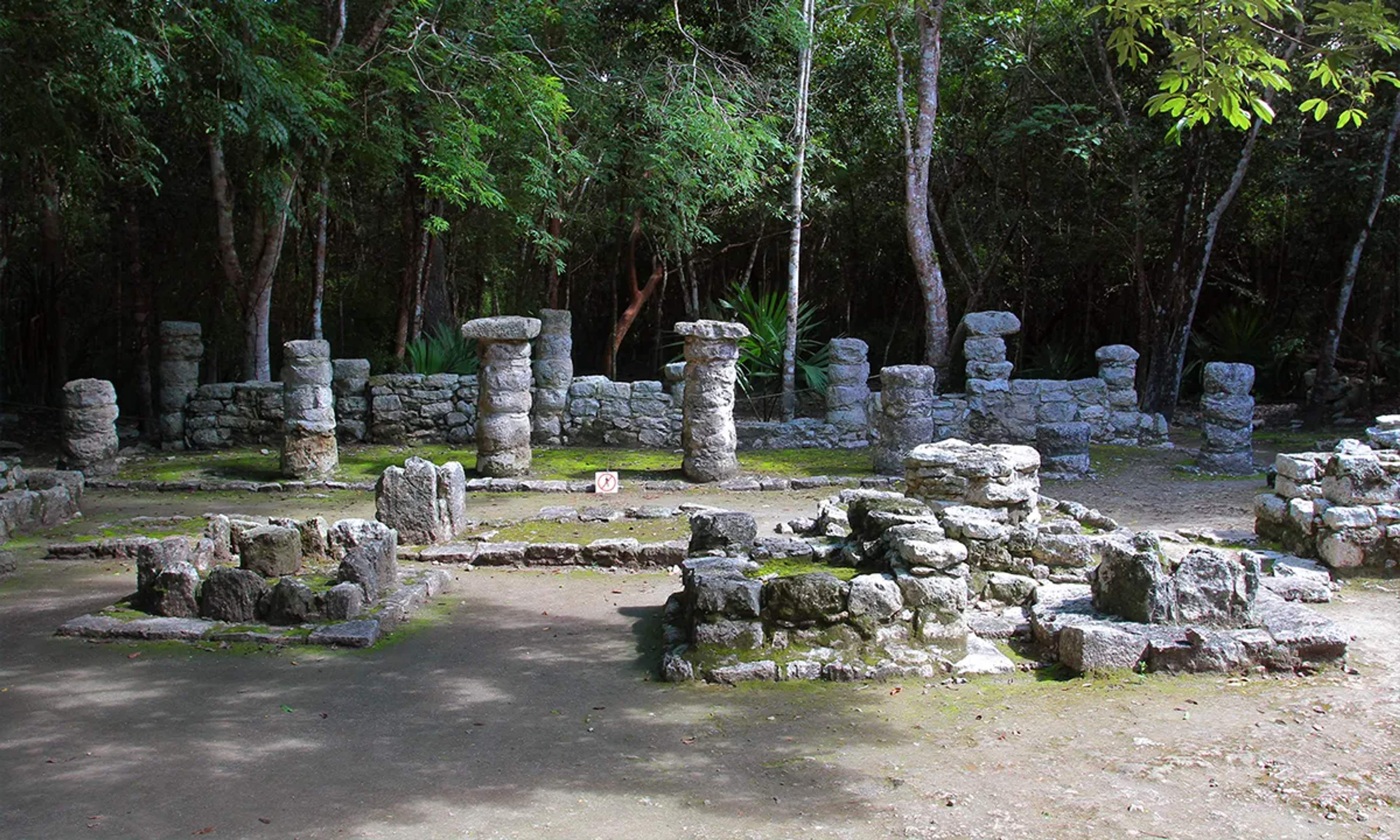 Ruinas antiguas de piedra con columnas redondeadas, rodeadas de árboles densos, en un sitio arqueológico en la jungla.