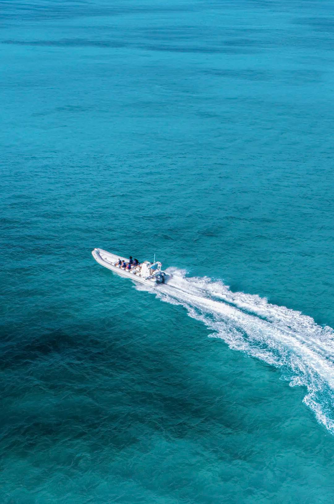Snorkel en El Cielo, Cozumel: Lancha rápida navegando en aguas turquesas hacia el área de snorkel.
