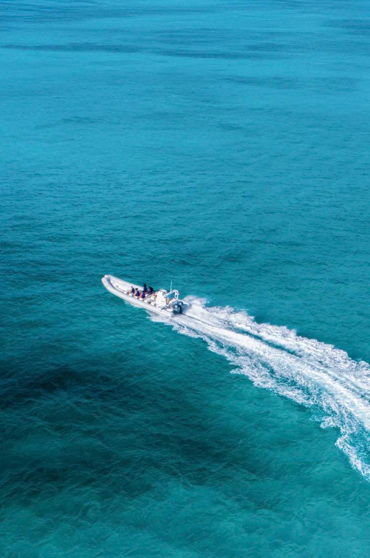 Snorkel en El Cielo, Cozumel: Lancha rápida navegando en aguas turquesas hacia el área de snorkel.