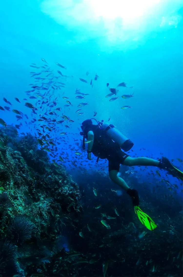 Certified scuba diver exploring coral reefs and tropical fish in Cancun’s Pacific waters