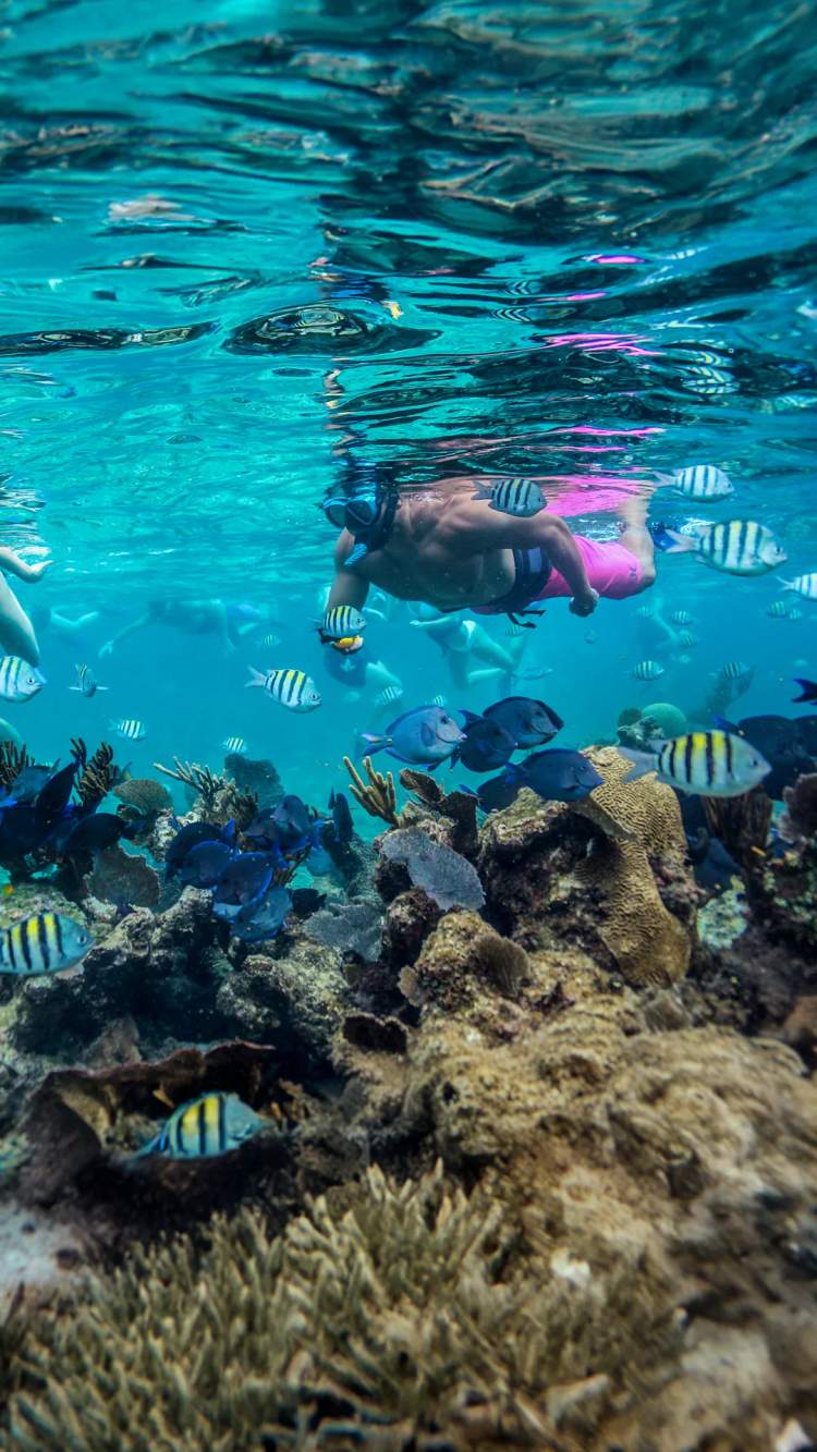 Amigos disfrutando snorkel en arrecifes de coral en Cancún.