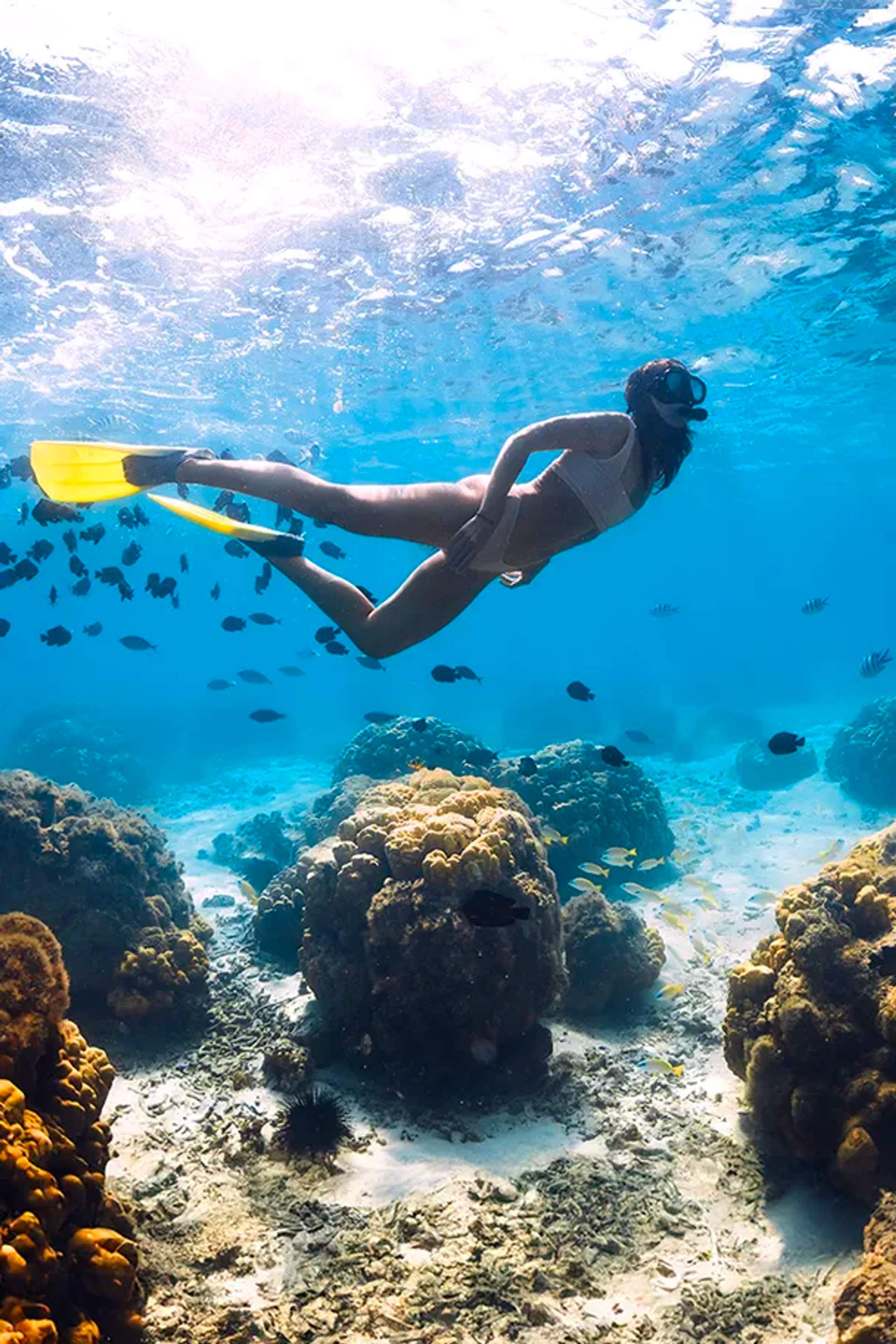 Tours de Snorkel en Cancún
