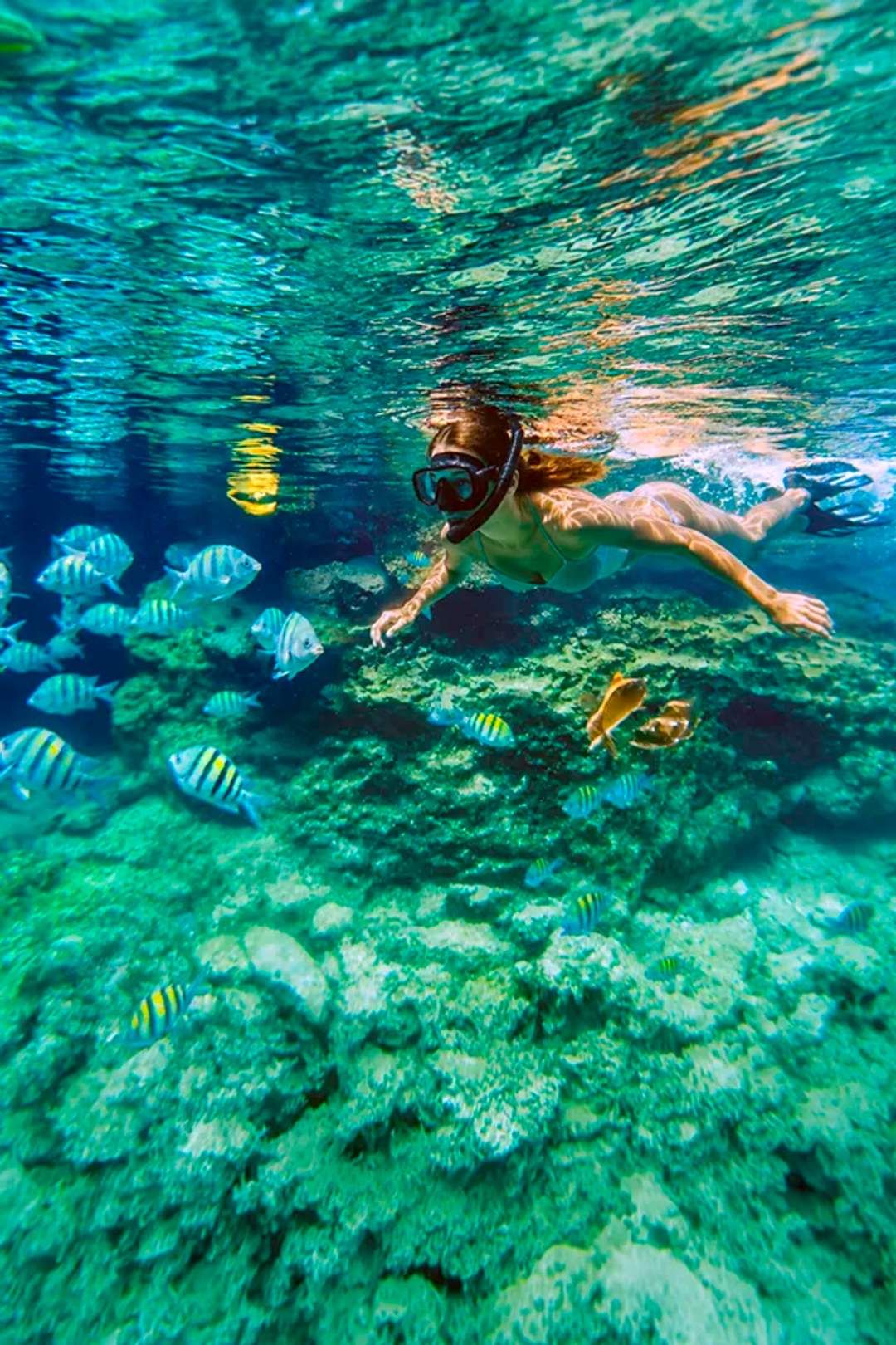 Young woman enjoying Akumal snorkeling in a reef surrounded by tropical fish.