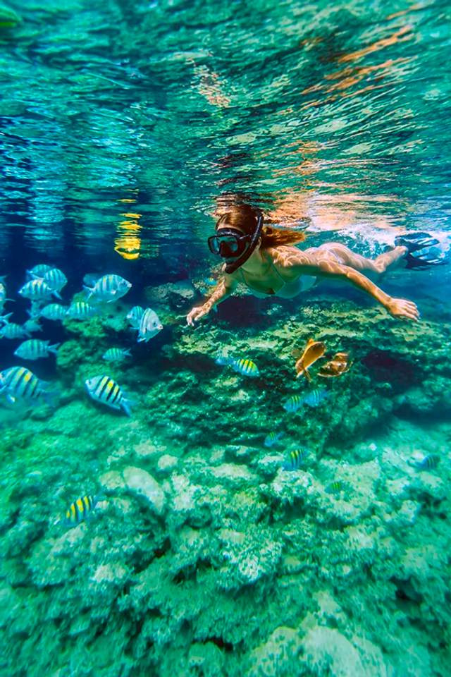 Young woman enjoying Akumal snorkeling in a reef surrounded by tropical fish.