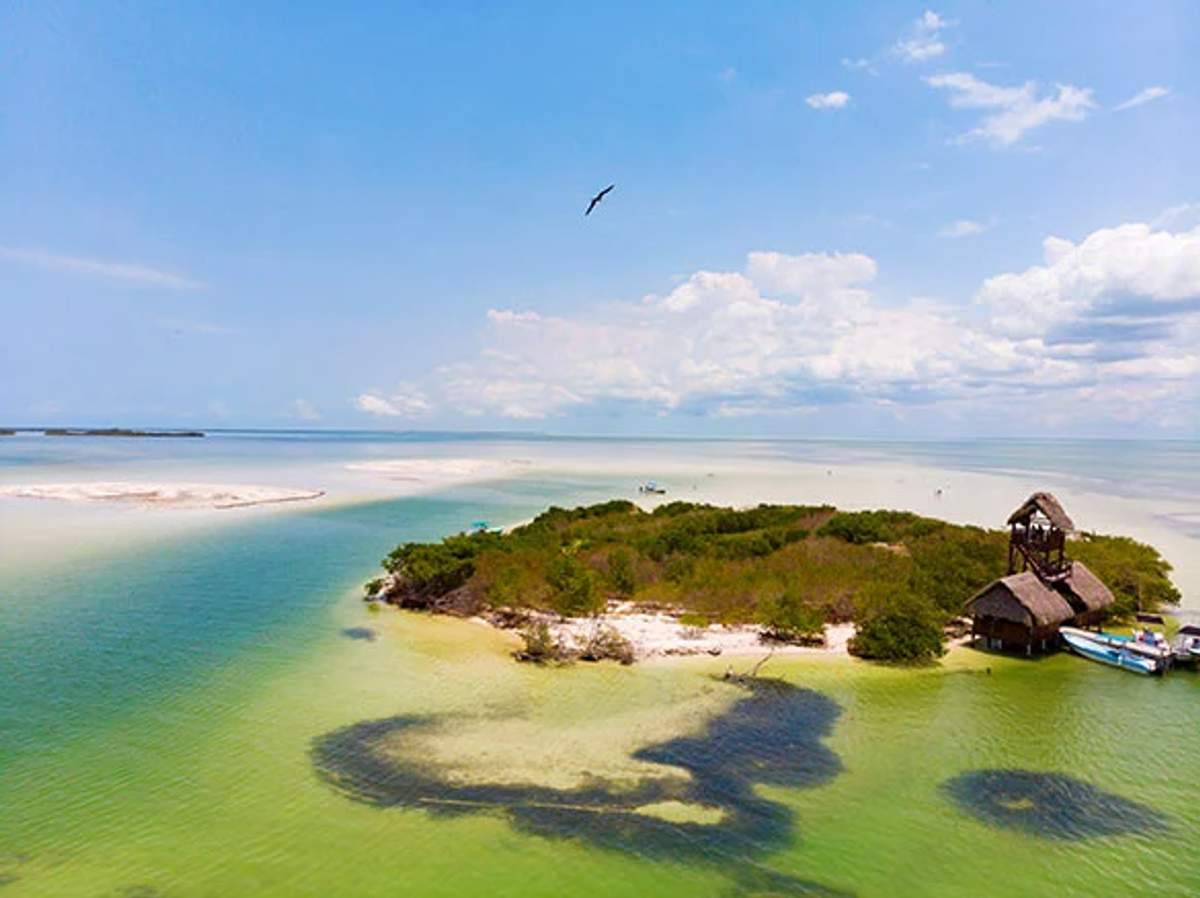 Isla Pasión en Holbox, un paraíso aislado con exuberante vegetación y aguas tranquilas, perfecto para relajarse.