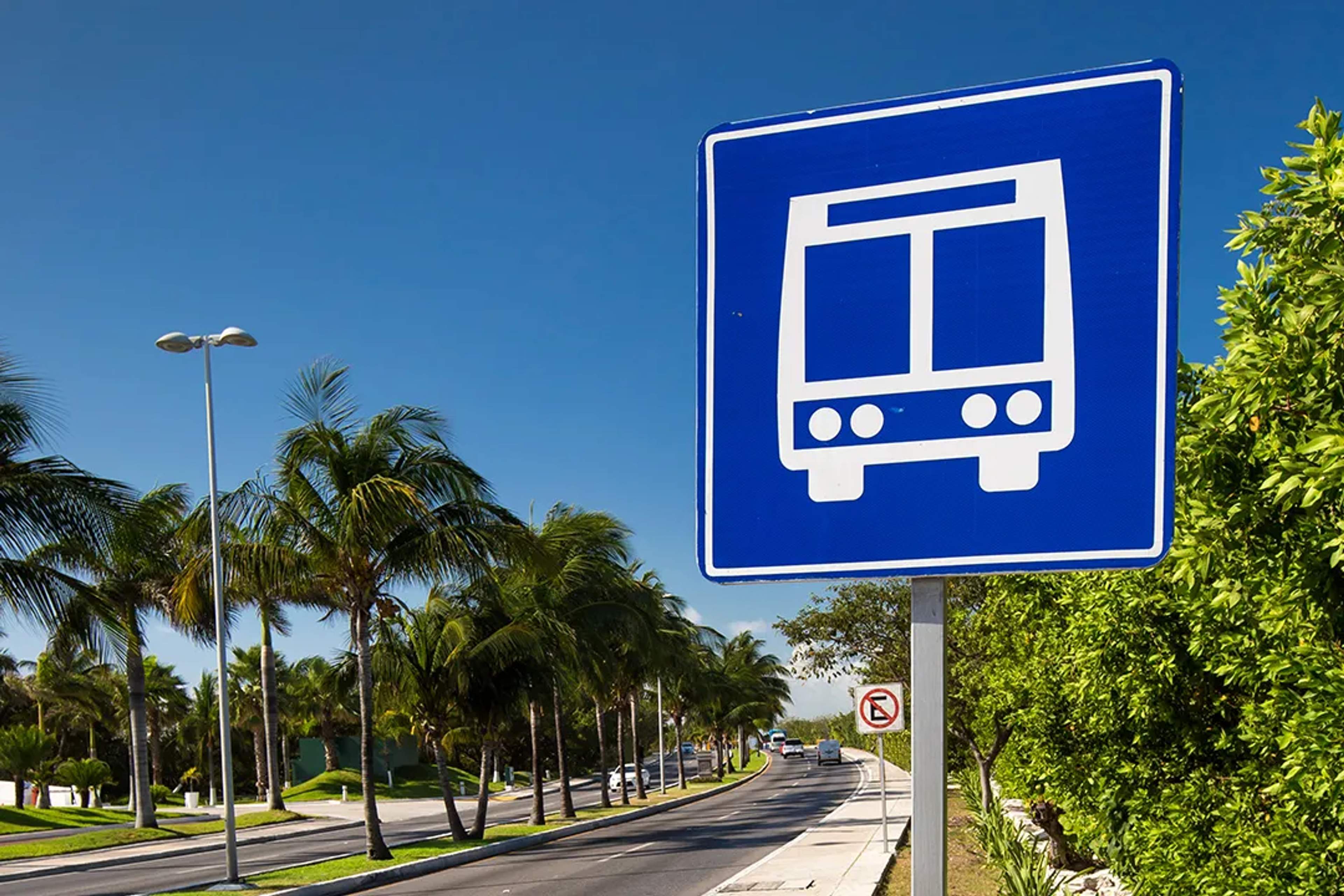 Blue bus stop sign on a palm-lined road under a clear sky in a tropical area.
