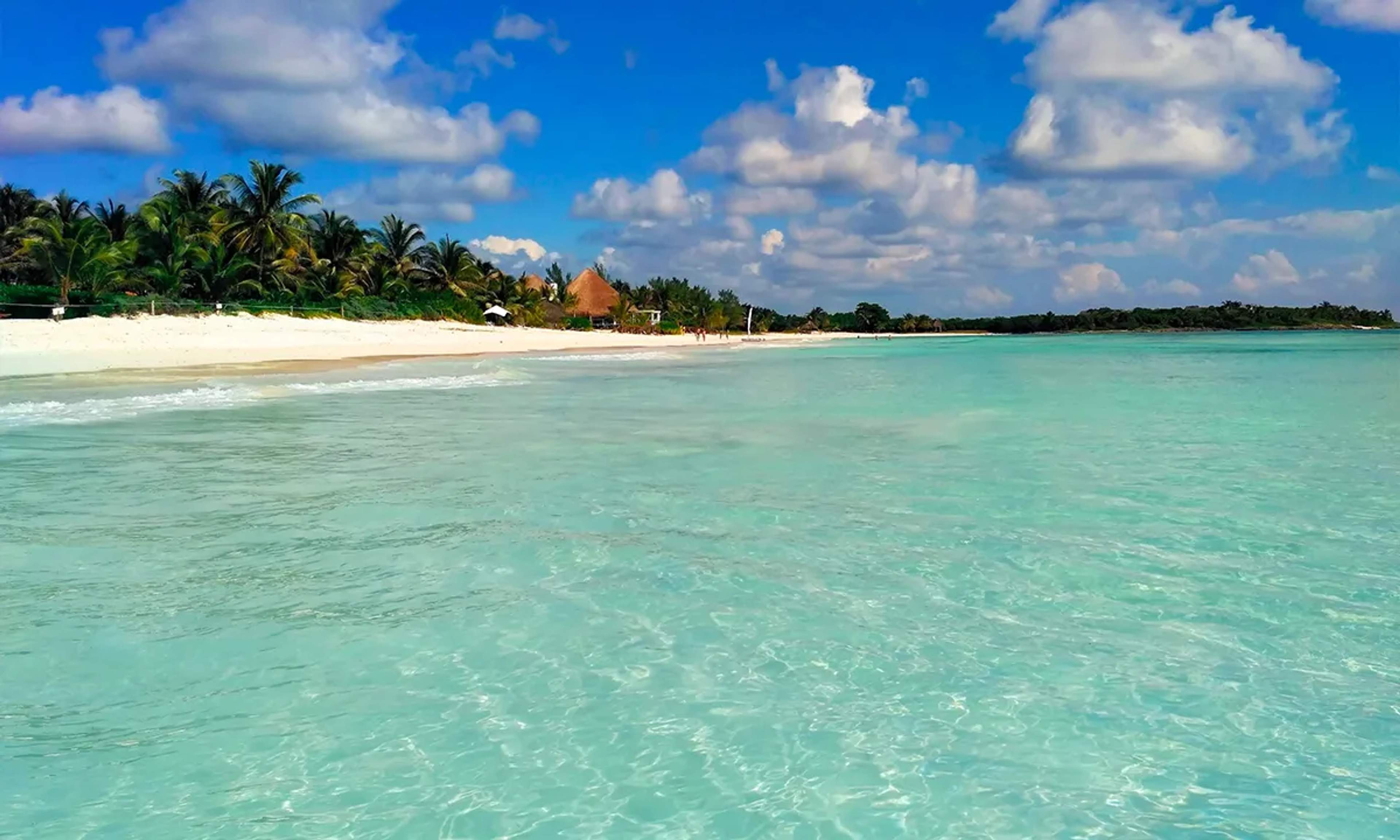 Xpu-Há Beach boasts crystal-clear waters, soft white sand, and a tranquil vibe, perfect for families and nature lovers.