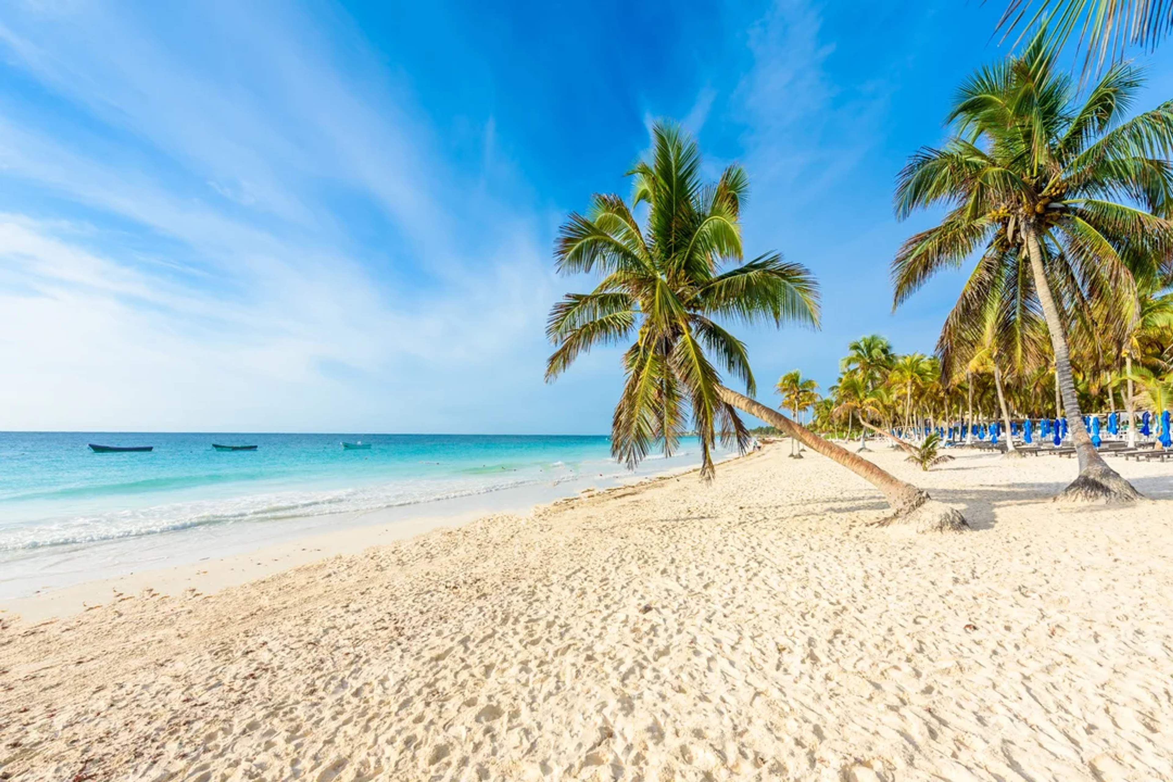 Palm-lined white sand beach with turquoise waters and boats floating under a bright blue sky.