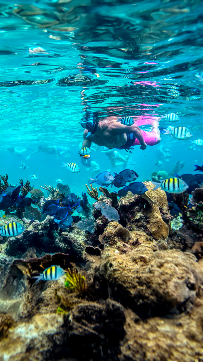Amigos disfrutando los Mejores Tours de Snorkel en Cancún.