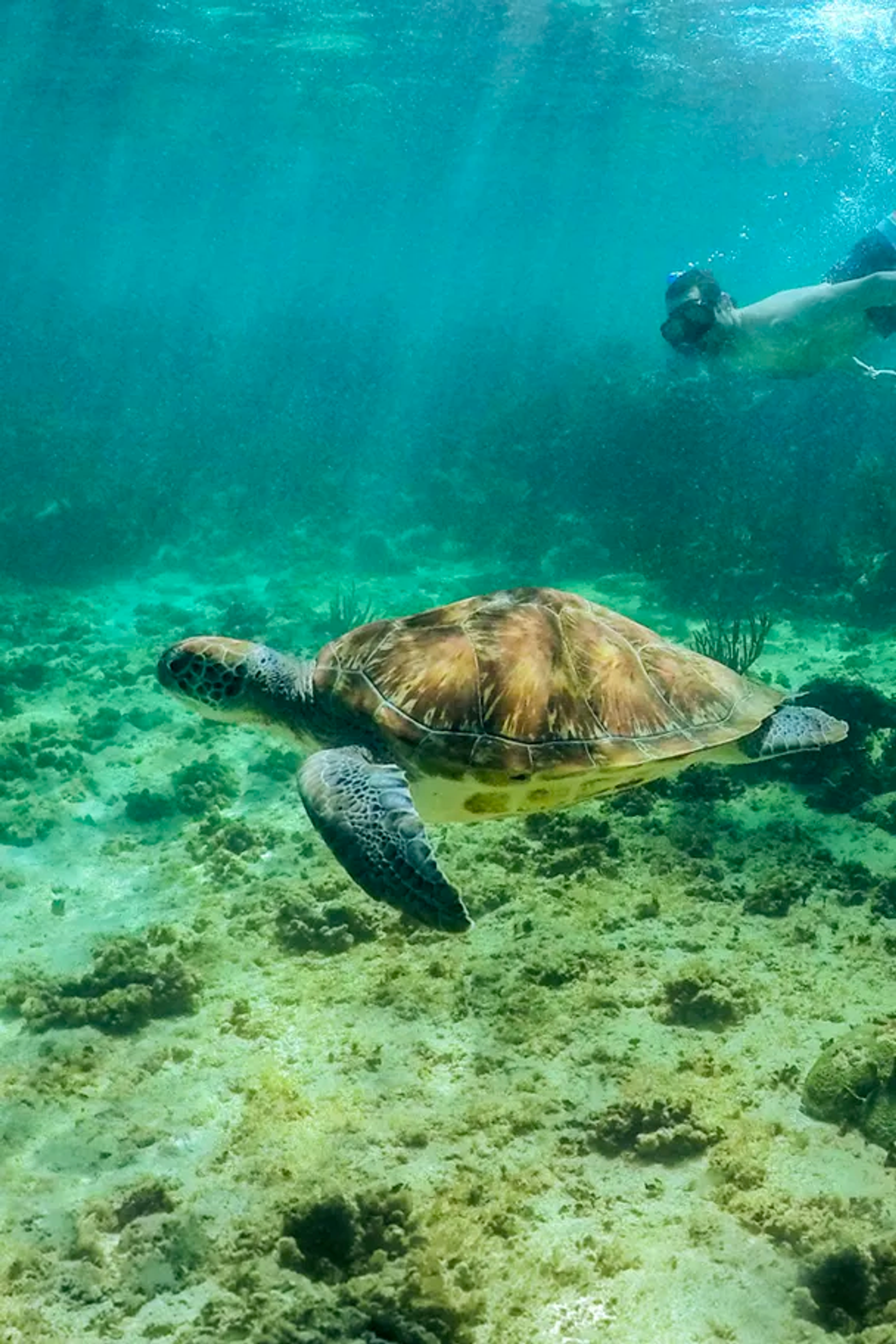 Activities in Akumal