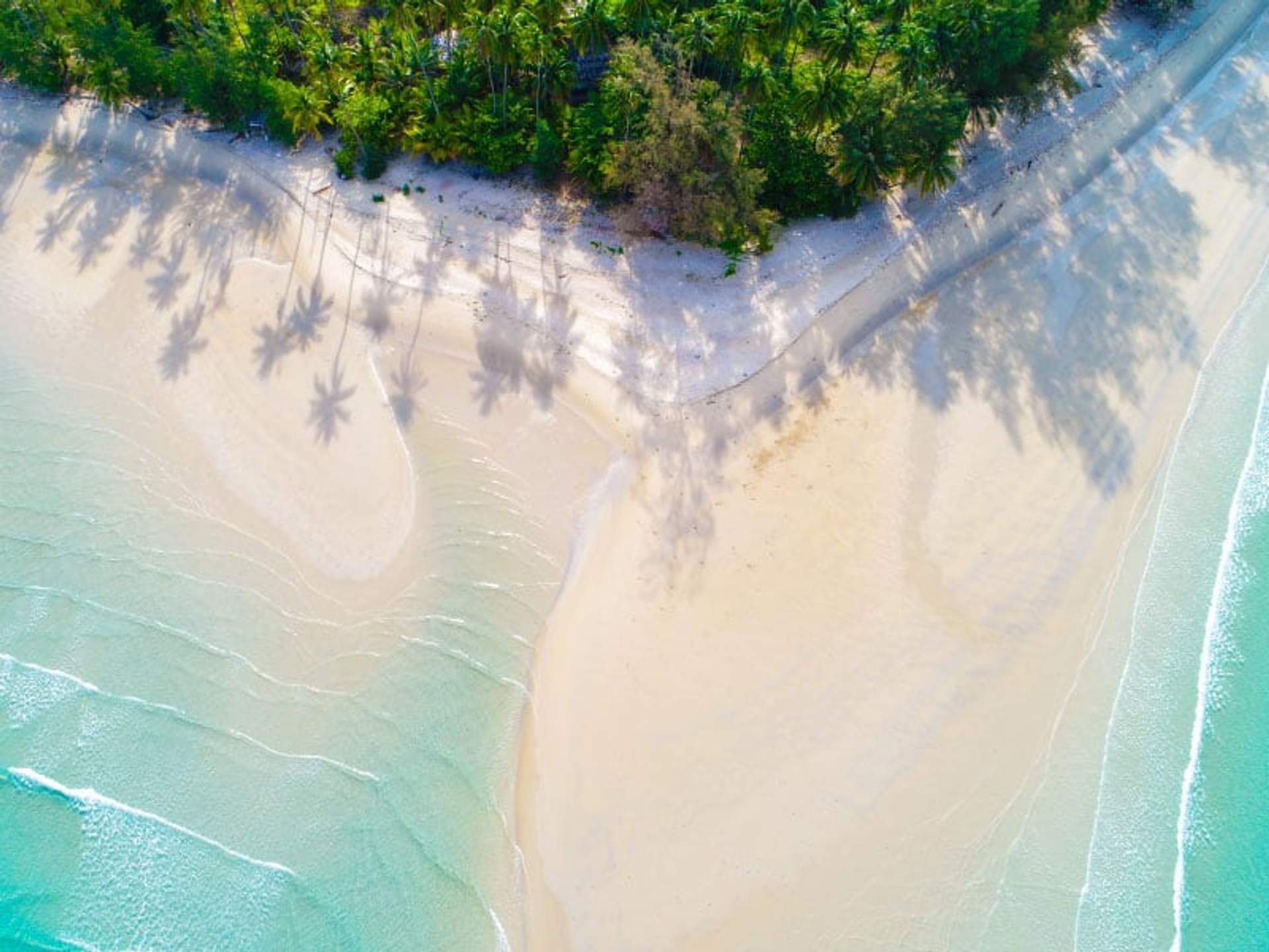 Vista aérea de una playa tropical con agua turquesa, sombras de palmeras en la arena y vegetación frondosa.
