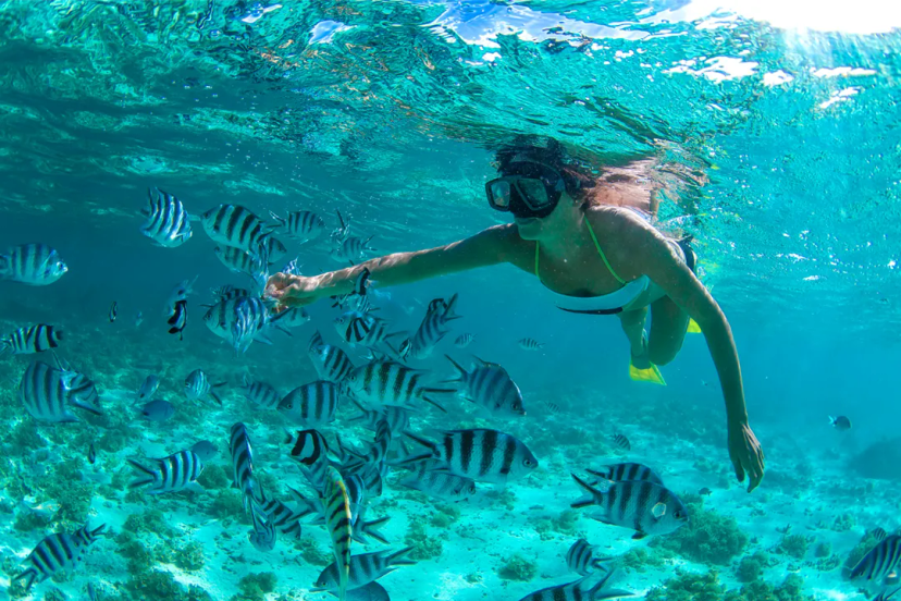 Cozumel snorkel