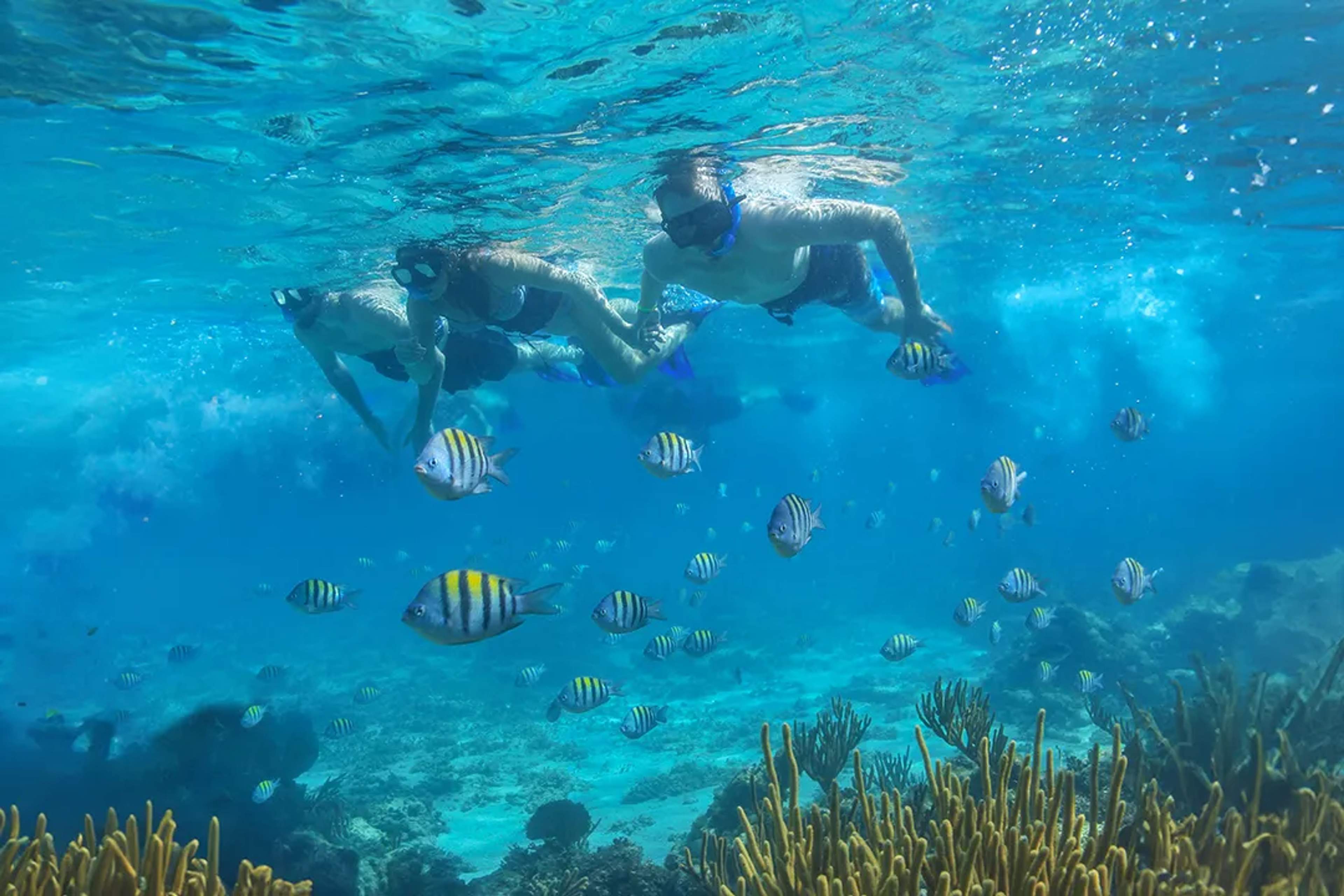 Couple snorkeling in clear blue water surrounded by colorful tropical fish and coral reef.