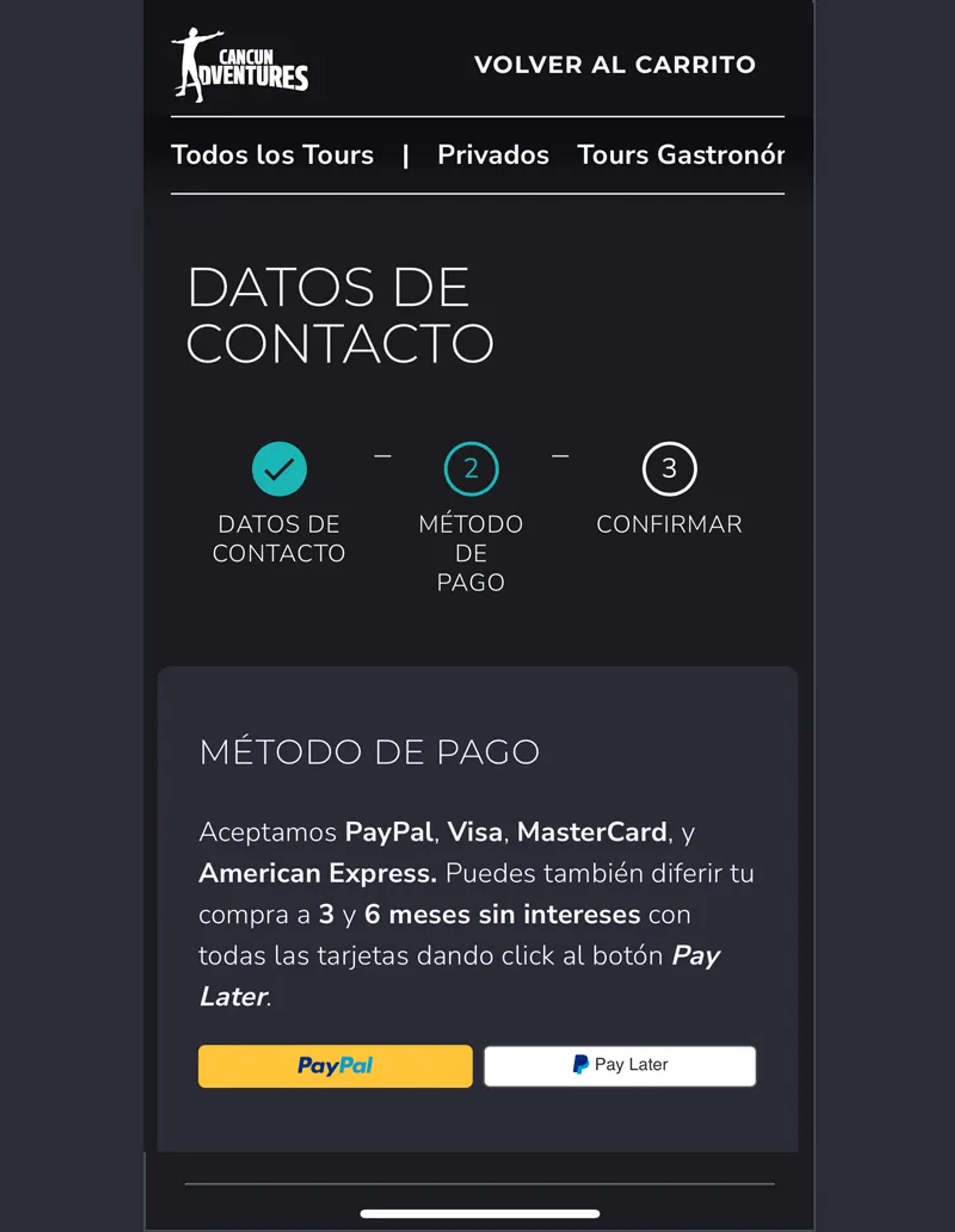 Para pagar a meses sin intereses da click al botón Pay Later.