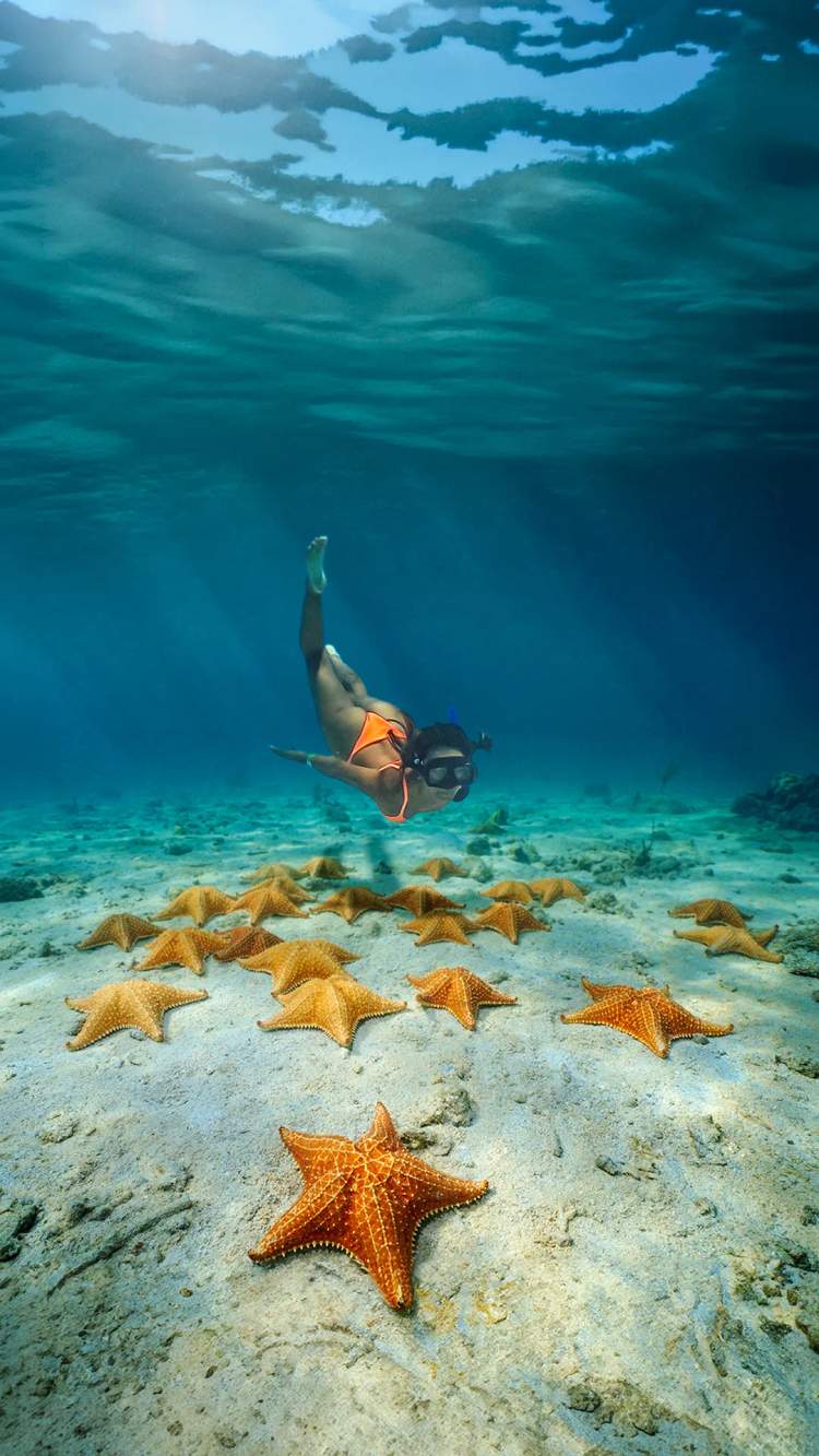 Buceadora explorando fondo marino del Caribe con estrellas de mar, aventura tropical divertida inolvidable!