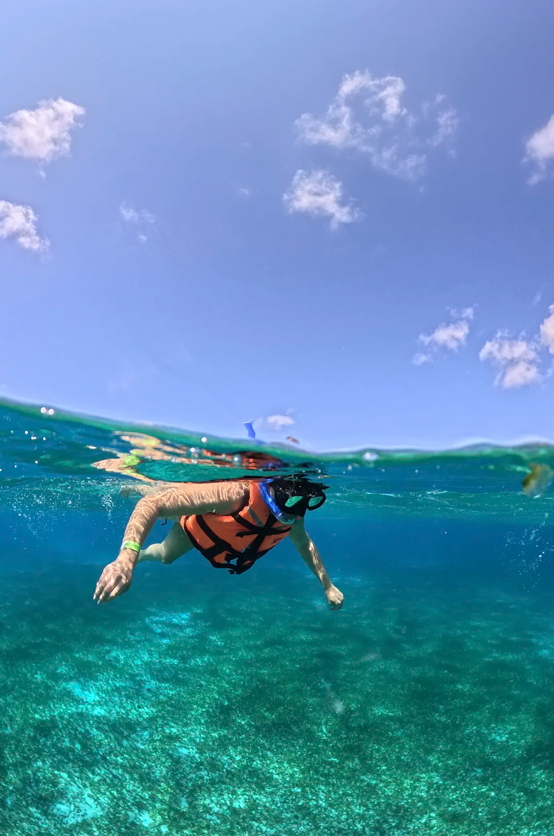 Amigos disfrutando Snorkel en Cozumel.