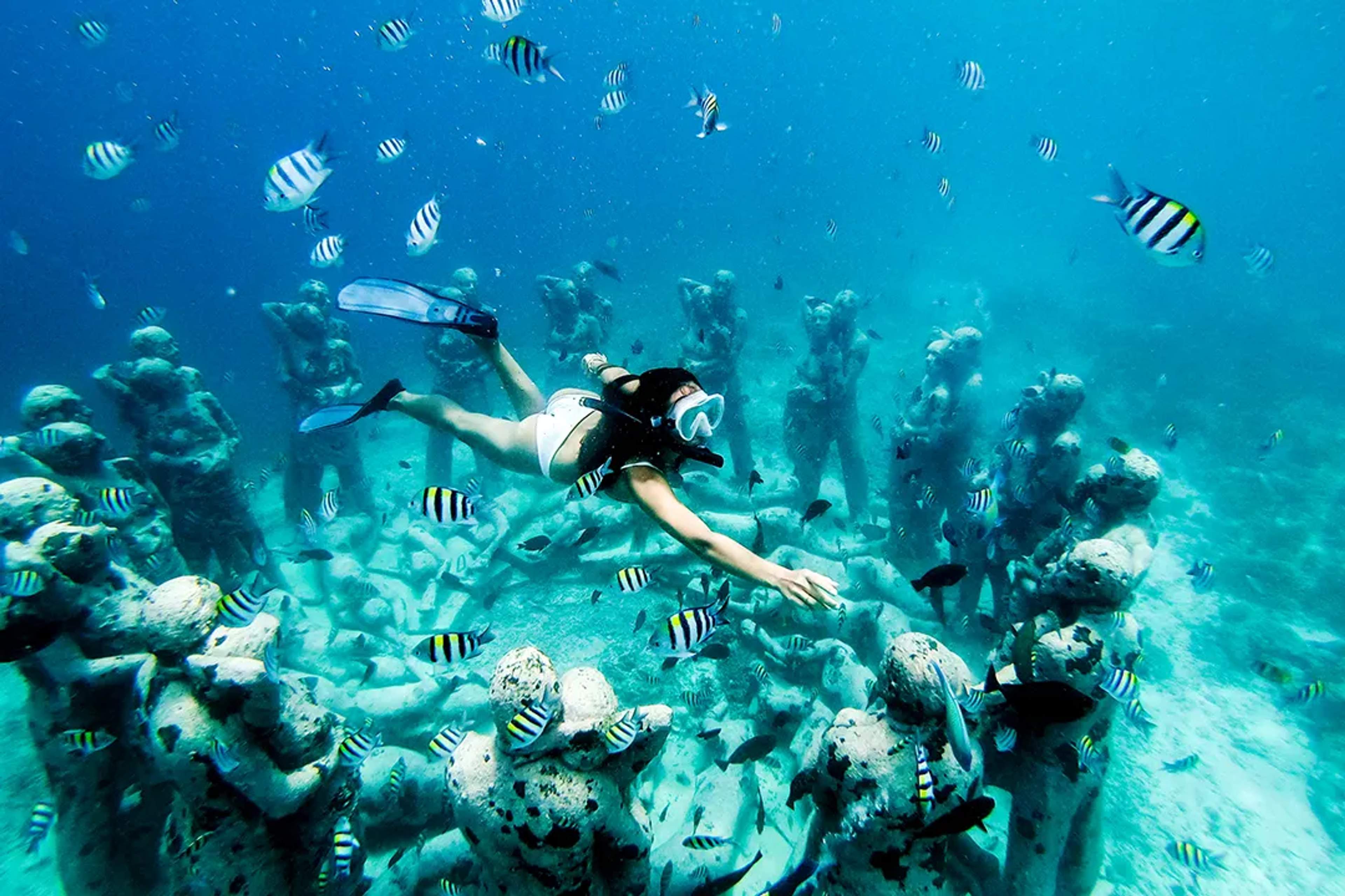 Snorkeling at MUSA underwater museum in Cancun, swimming among coral-covered statues and tropical fish.