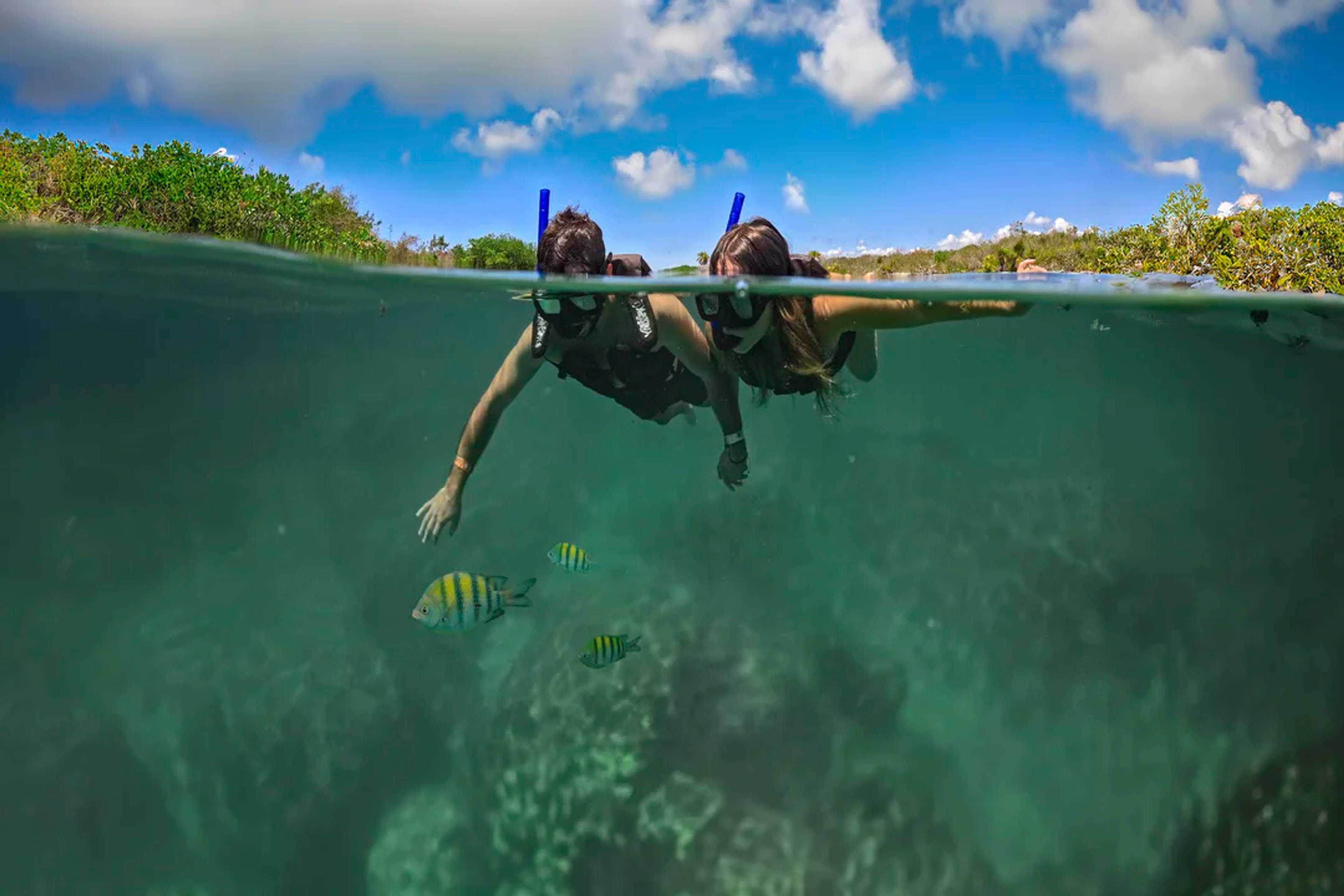 Snorkel side by side in Yal-Ku Lagoon and discover vibrant fish in crystal-clear waters.