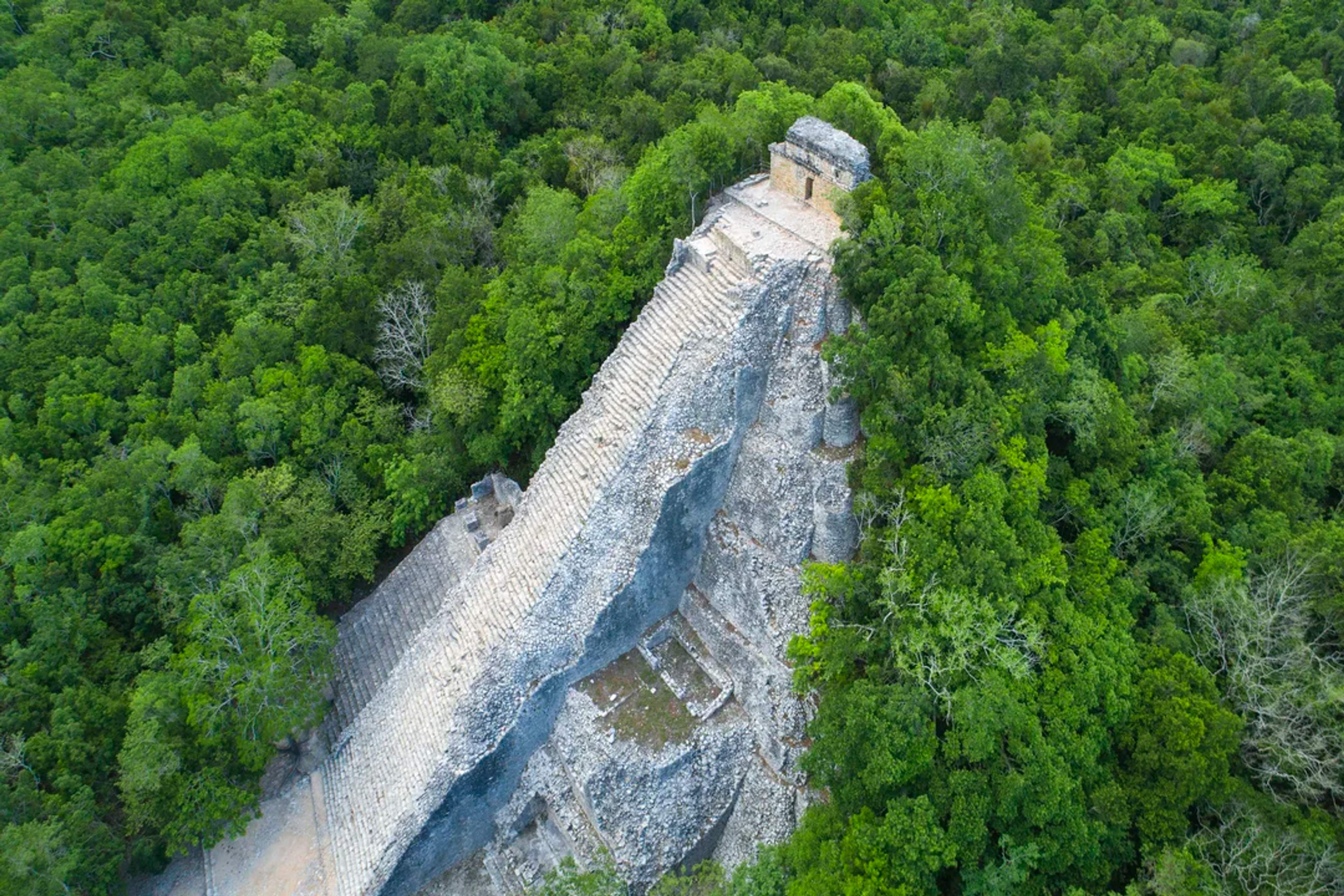 Pirámide de Cobá emerge entre la selva maya, rodeada de exuberante vegetación tropical.