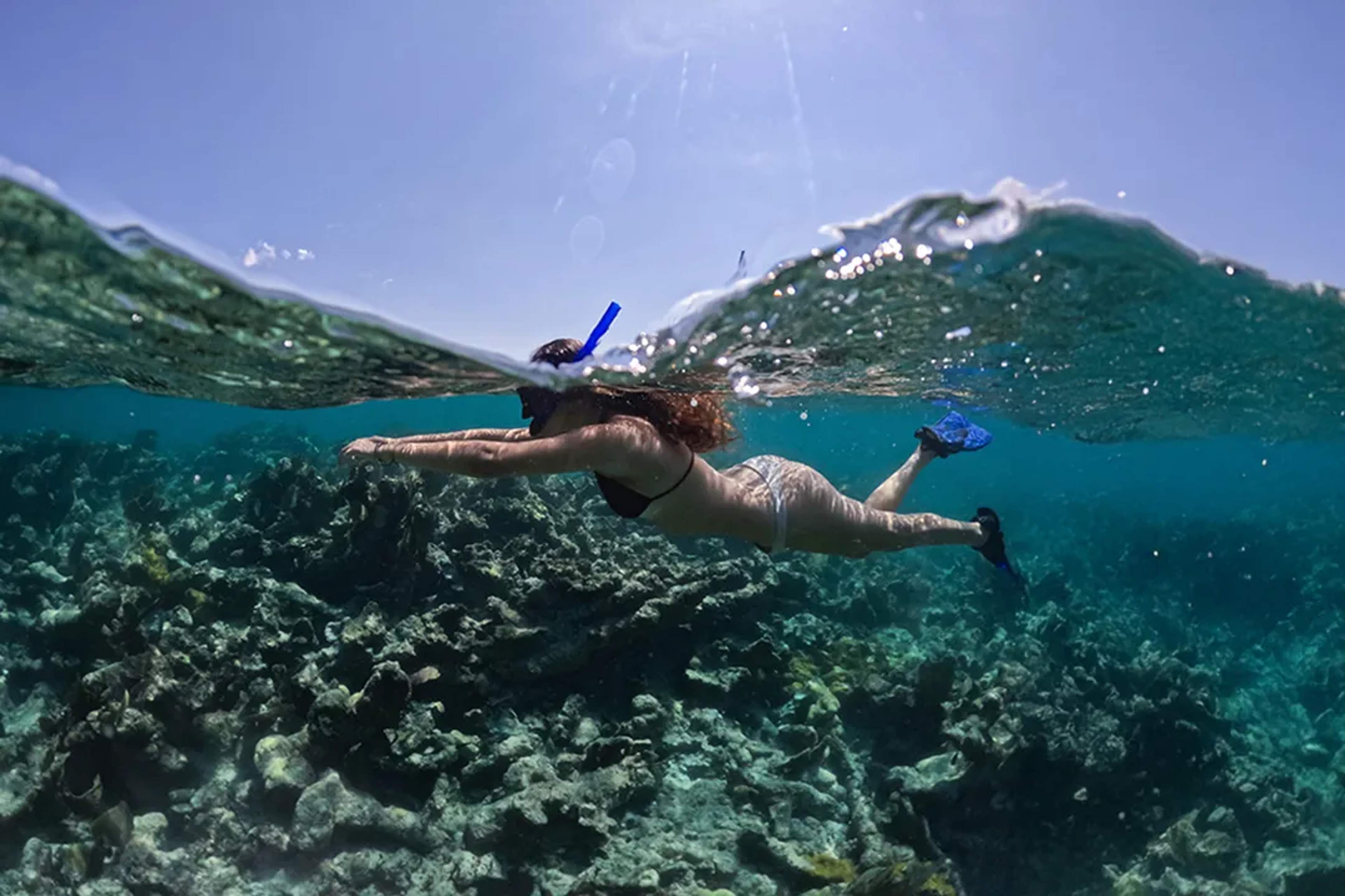 Snorkel en Puerto Morelos con Cancun Adventures, explorando arrecifes de coral en aguas cristalinas del Caribe