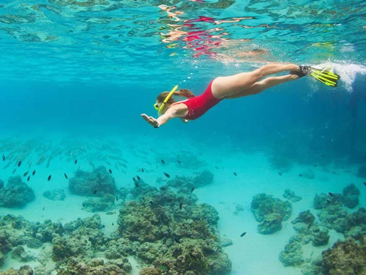 Una persona con snorkel explora el vibrante mundo submarino de Cozumel, rodeada de corales y peces.
