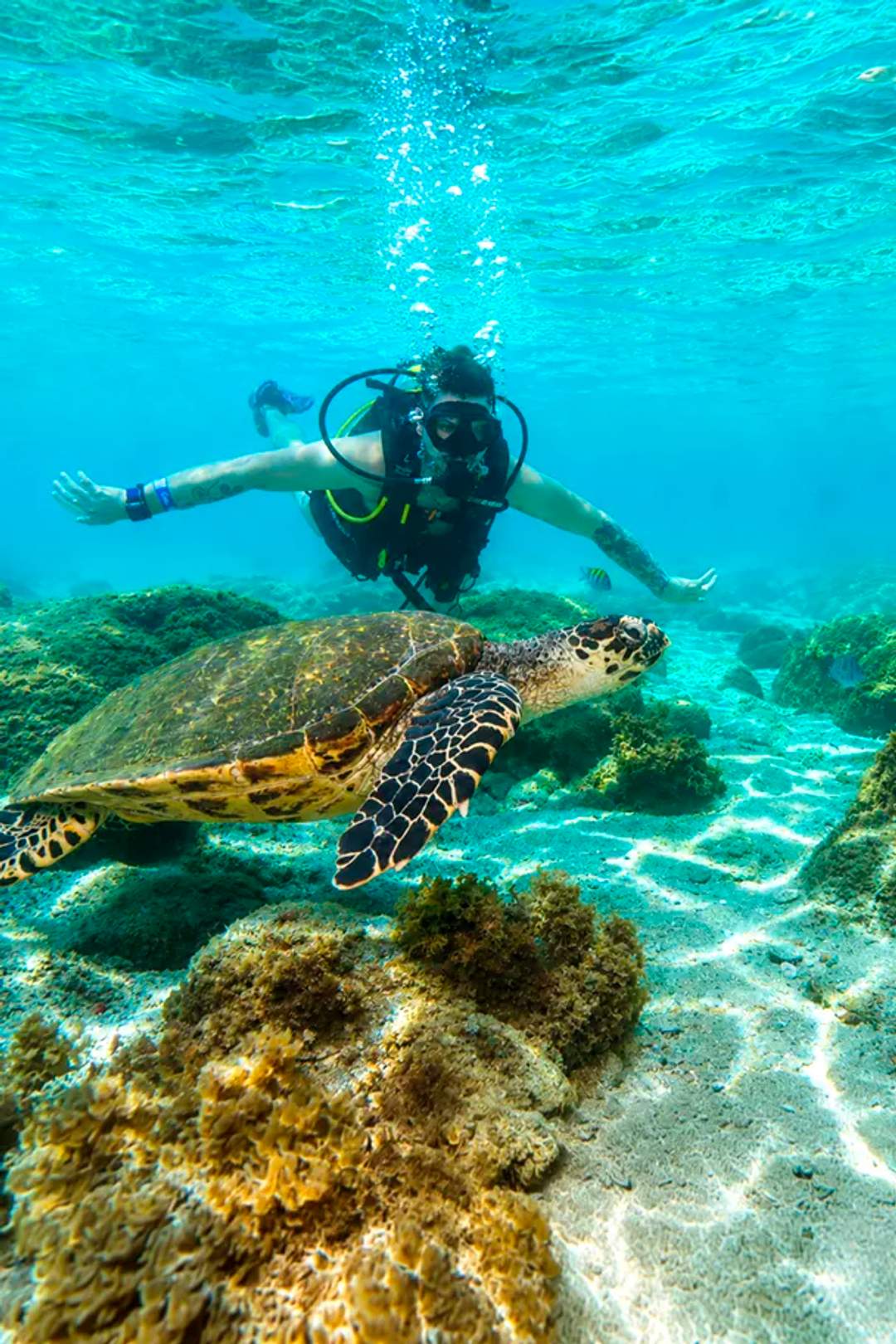 Young man enjoying a Cancun Scuba Diving tour near Akumal.