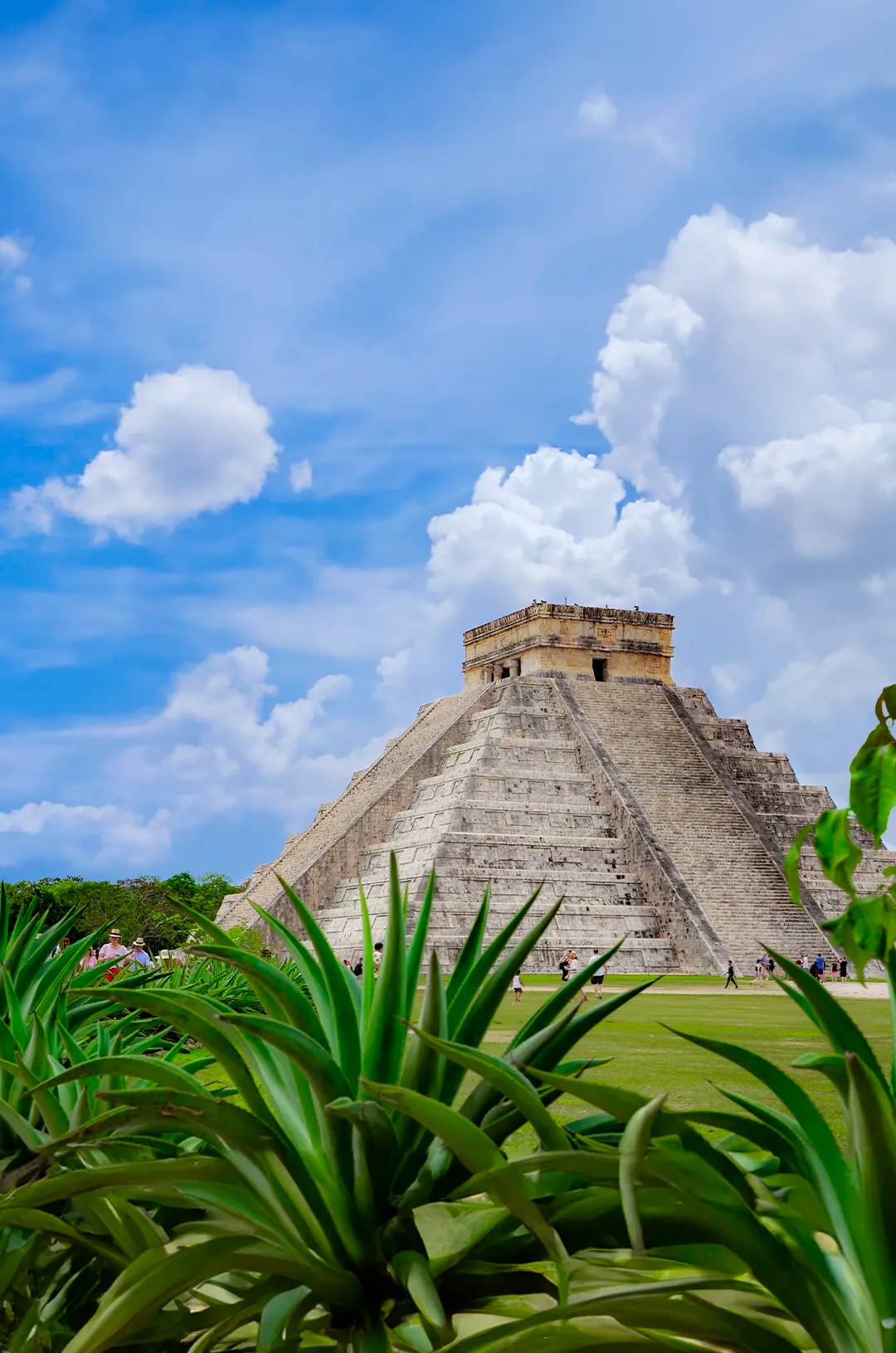 The Temple of Kukulkan at Chichen Itza under a blue sky, with green plants in the foreground and tourists exploring the site.