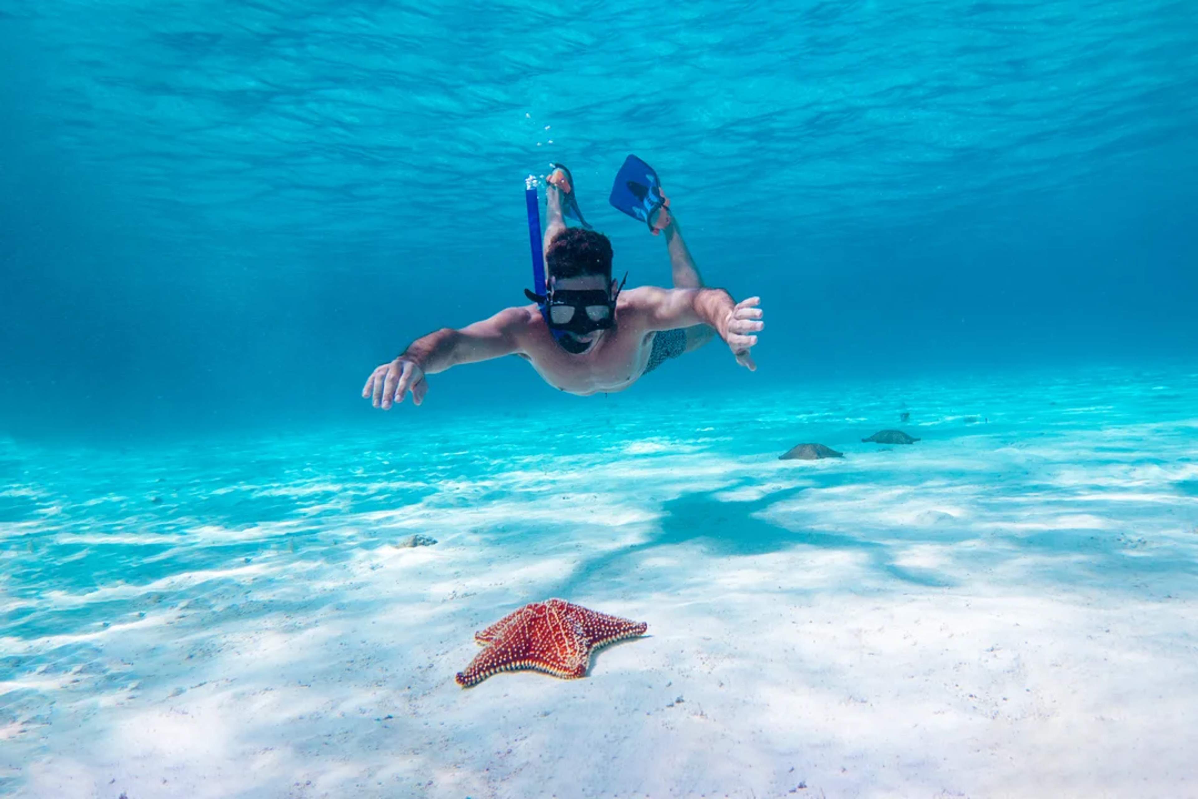 Hombre practicando snorkel en aguas cristalinas cerca de una estrella de mar colorida.