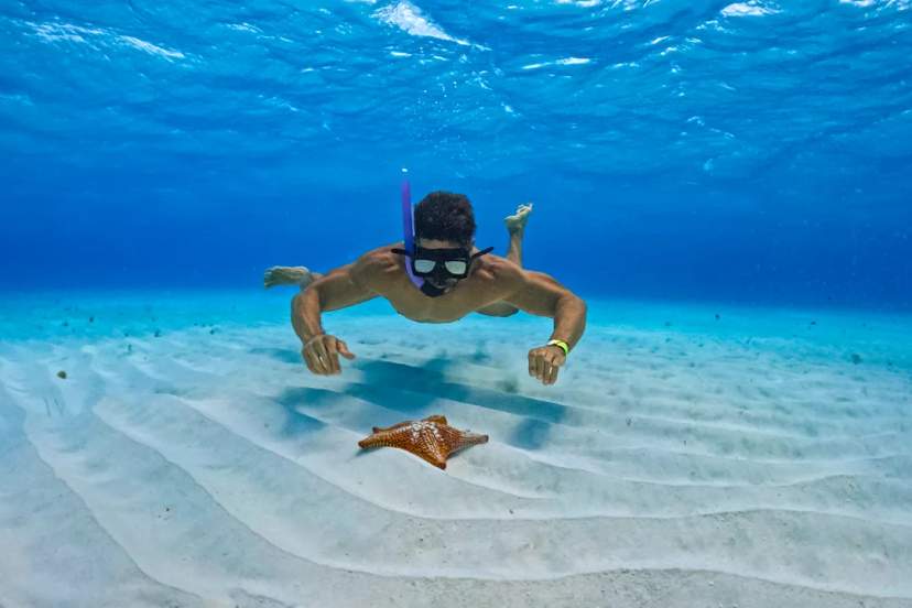 Haciendo snorkel en El Cielo, un hombre observa una estrella de mar en el fondo arenoso del océano.