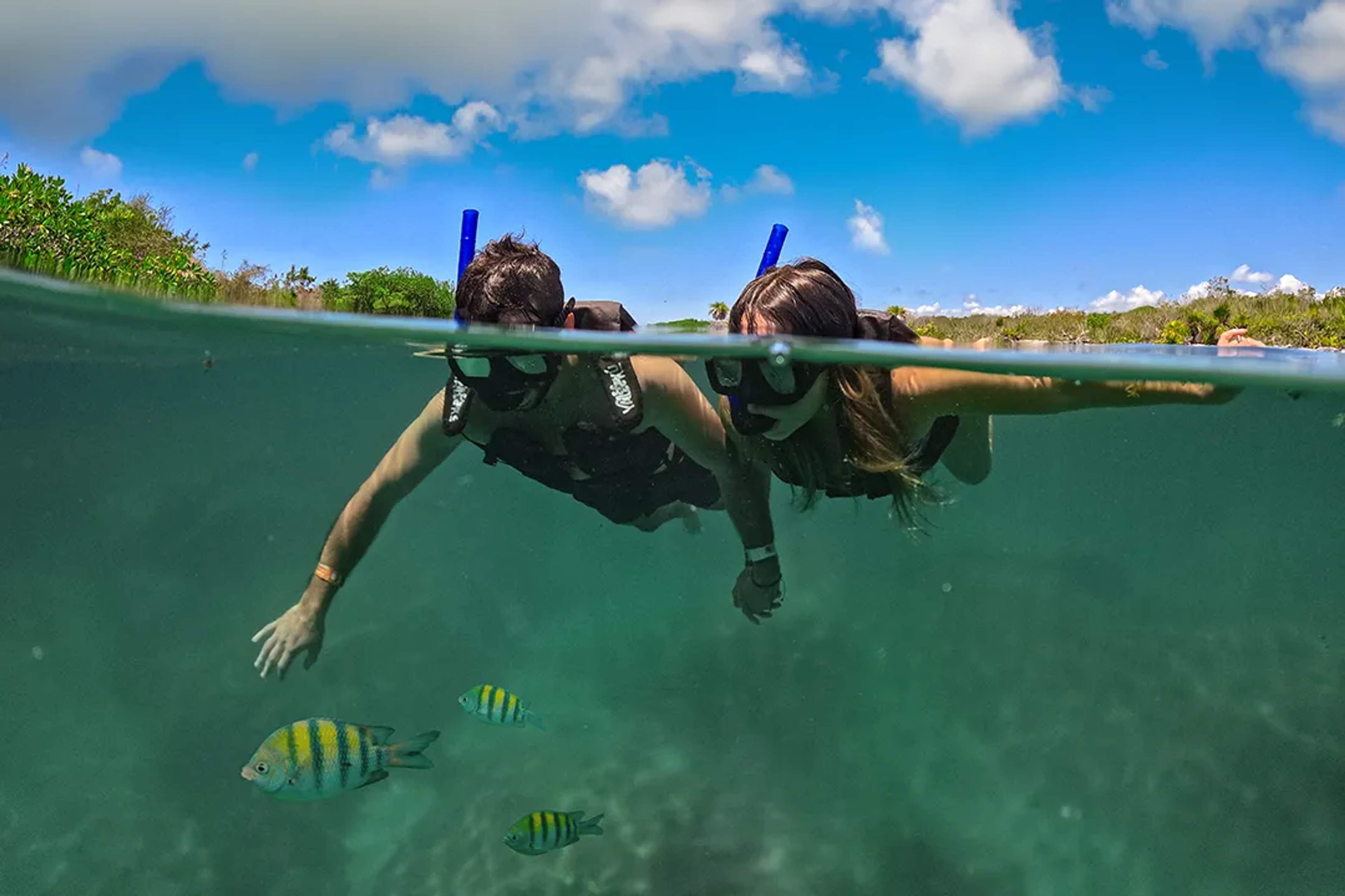 Couple snorkeling with tropical fish in calm lagoon waters during romantic Riviera Maya ocean adventure