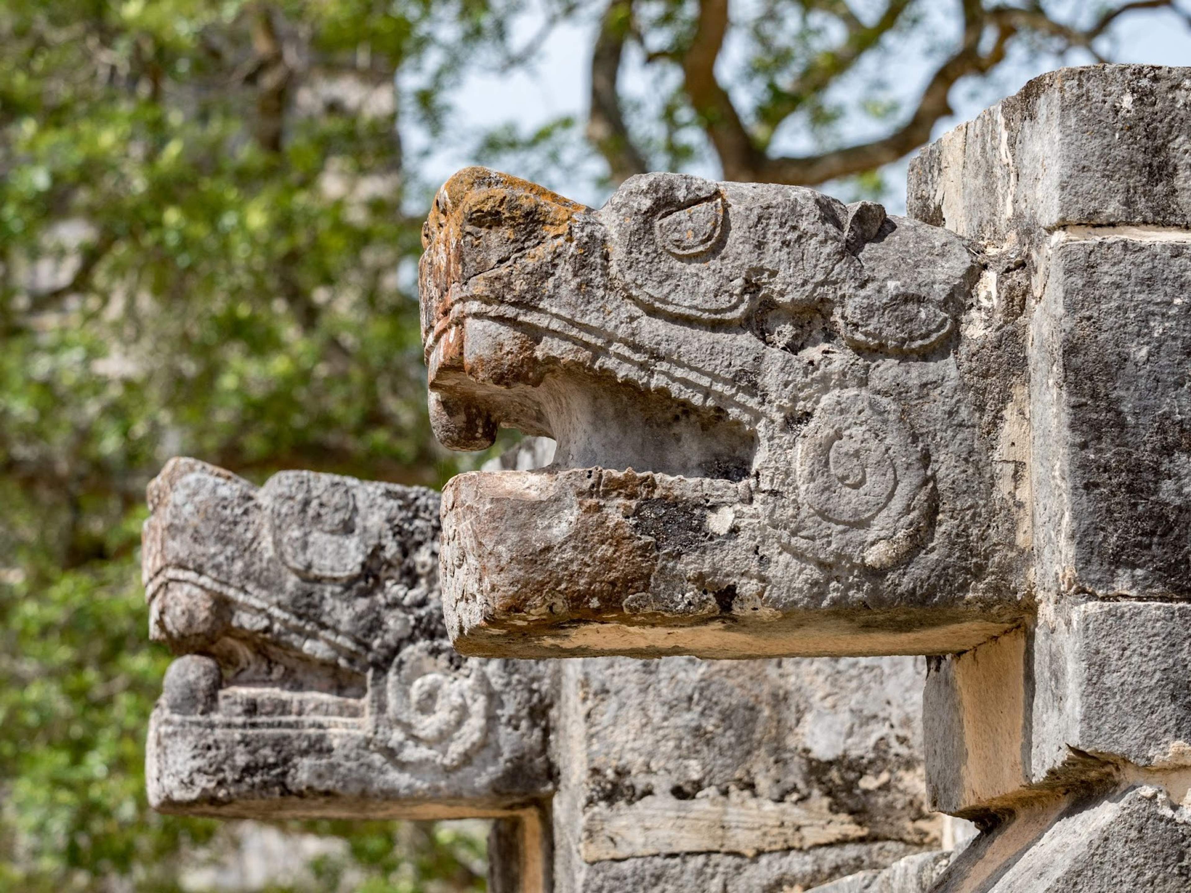 Stone carvings of serpent heads on an ancient Mayan temple with lush green trees in the background.
