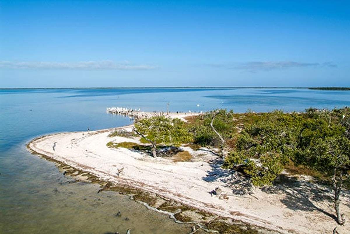 Isla Pájaros en Holbox, un santuario tranquilo para diversas especies de aves, rodeado de aguas calmadas.