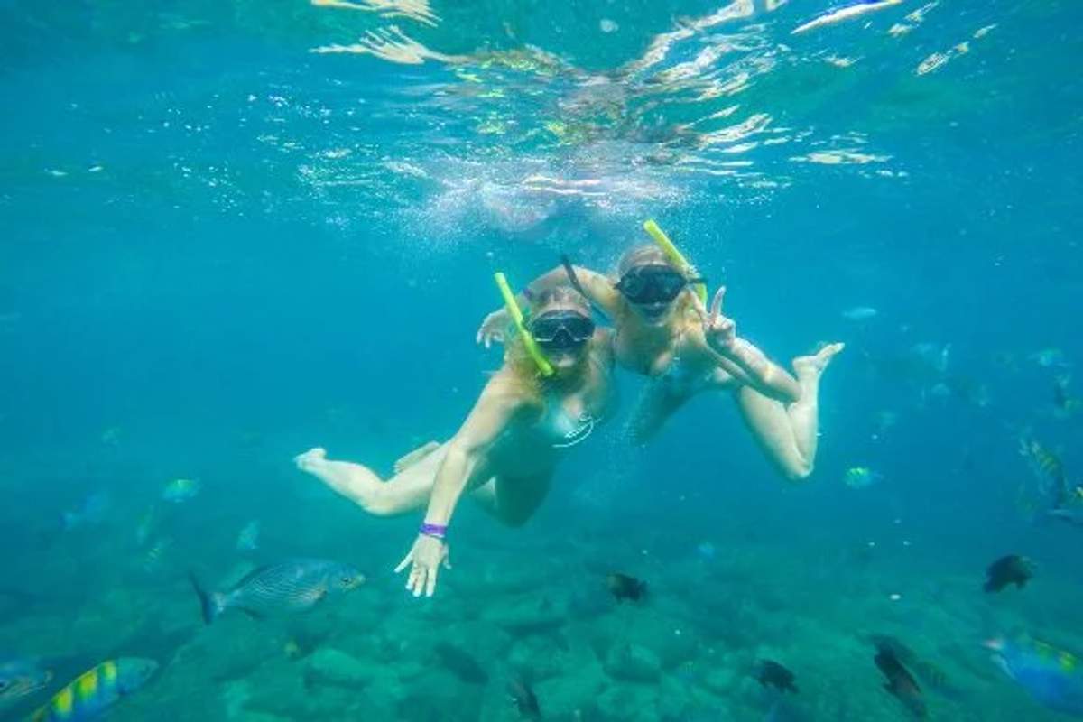 Dos personas buceando con snorkel en aguas claras, rodeadas de peces de colores. Ambas llevan máscaras y tubos de snorkel, y parecen estar disfrutando de la experiencia subacuática.